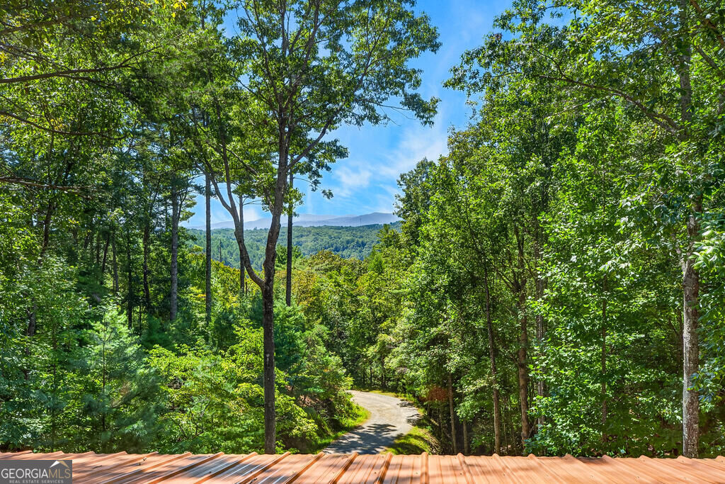 161 Walkabout Creek Road Property Photo 11
