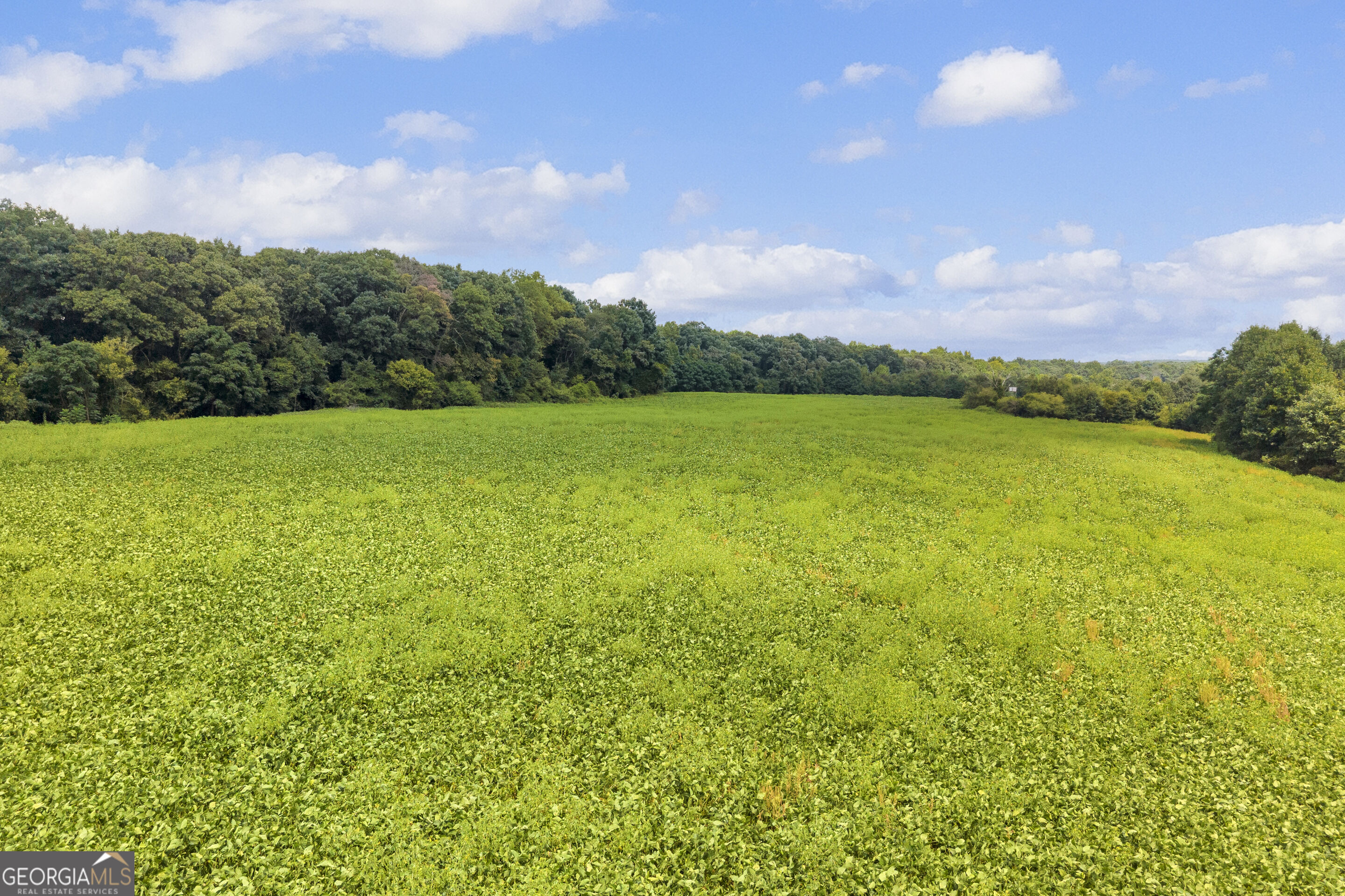 4281 Airline Goldmine Road Property Photo 8