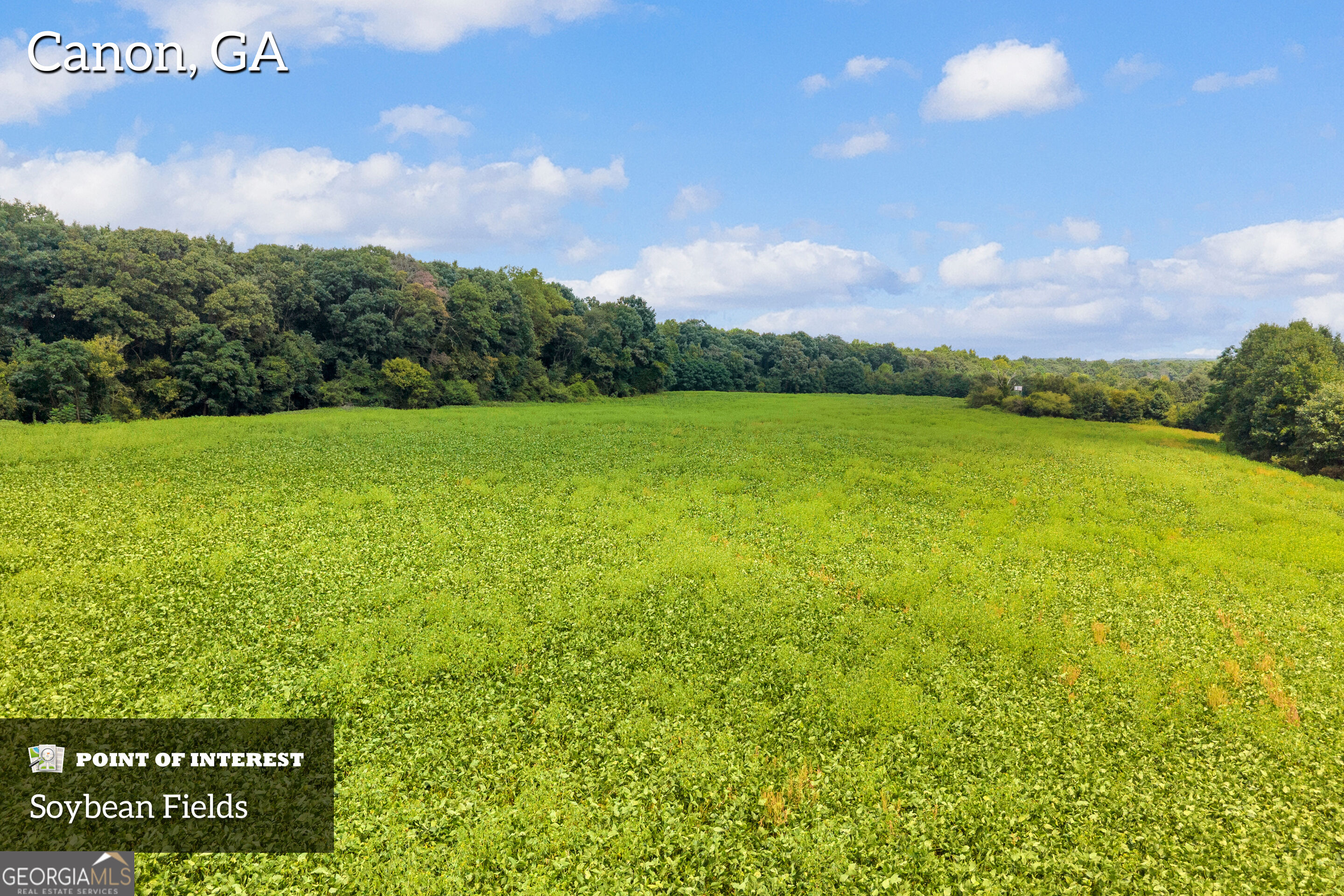 4281 Airline Goldmine Road Property Photo 9