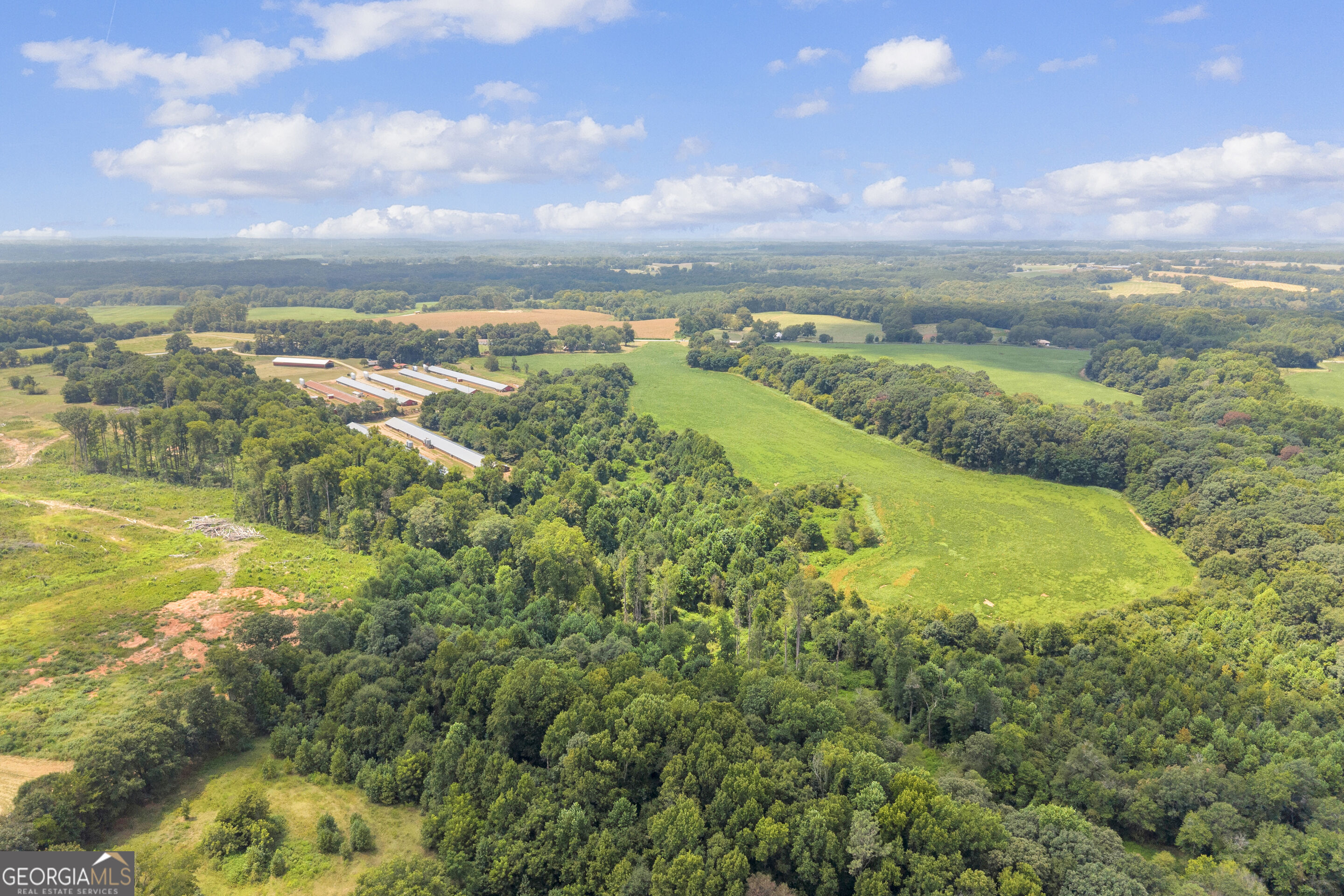 4281 Airline Goldmine Road Property Photo 12