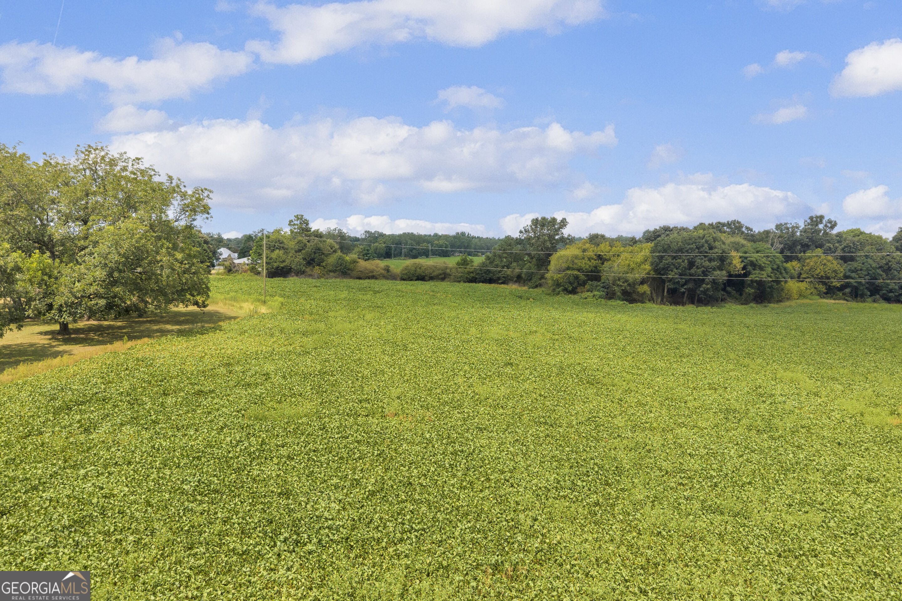 4281 Airline Goldmine Road Property Photo 21