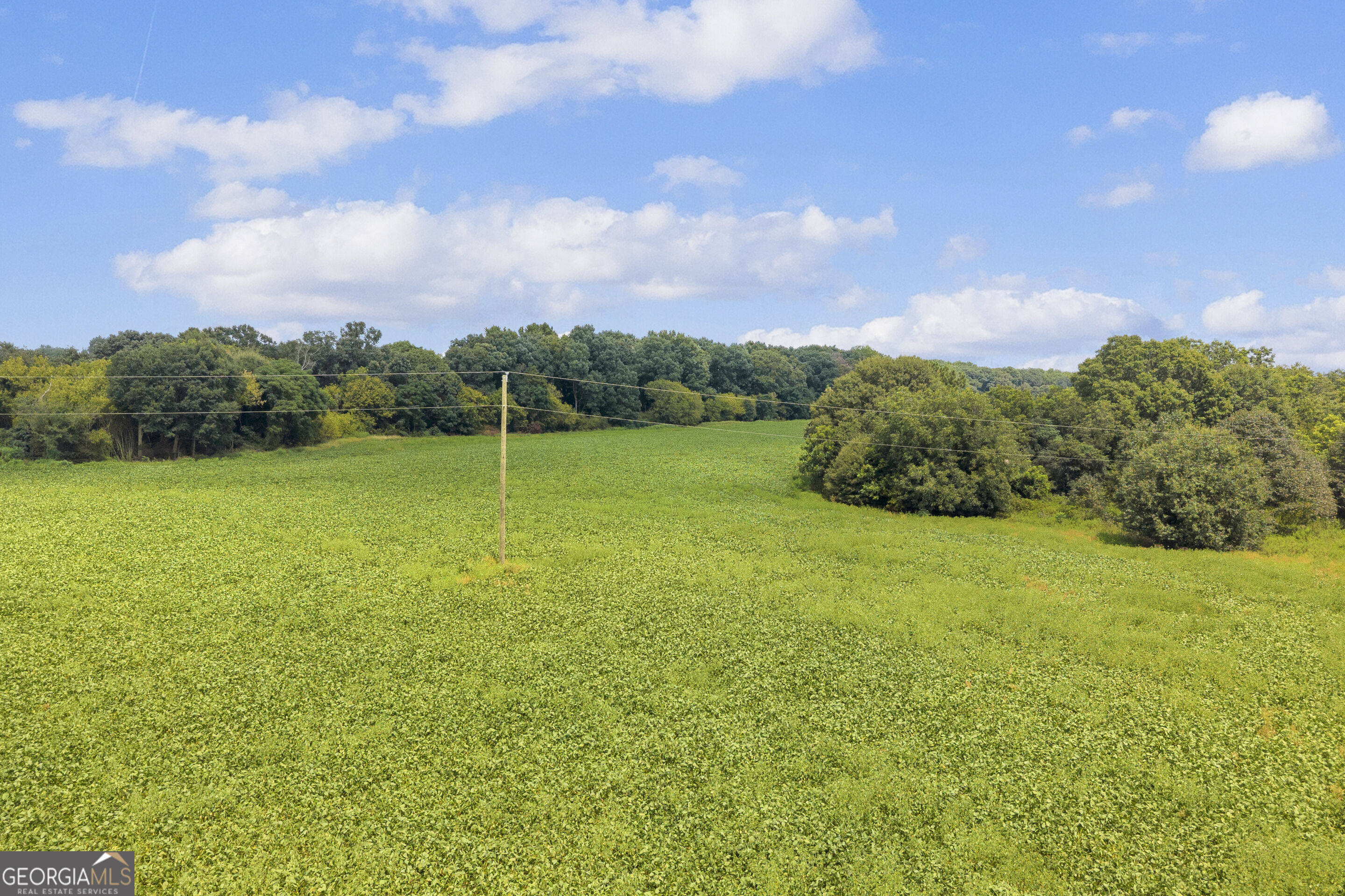 4281 Airline Goldmine Road Property Photo 22