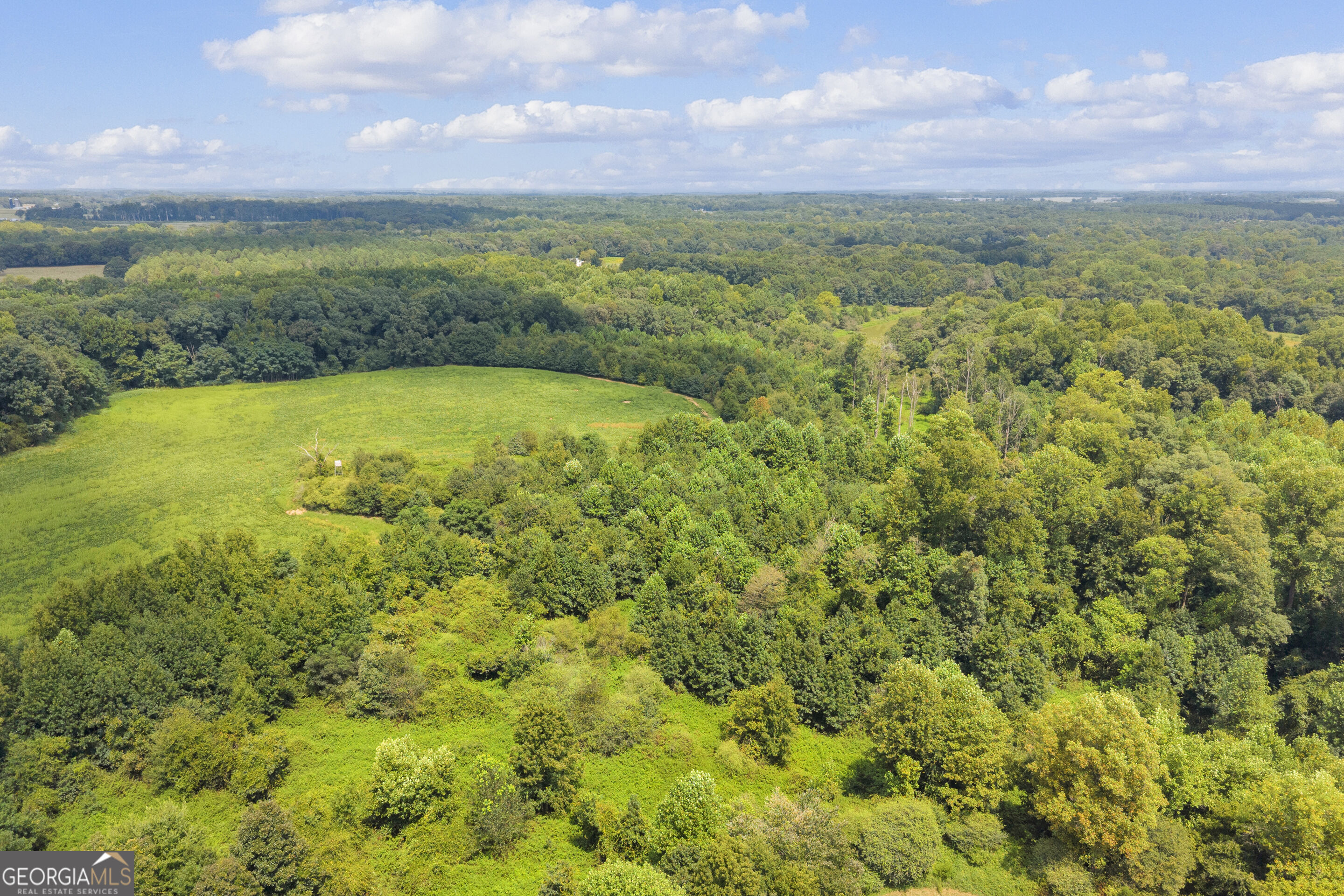 4281 Airline Goldmine Road Property Photo 35