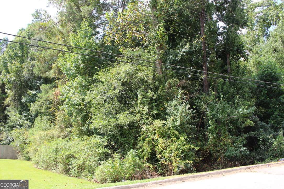 218 Ella Drive Property Photo 3