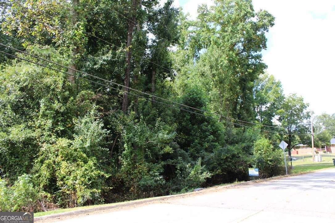 218 Ella Drive Property Photo 4