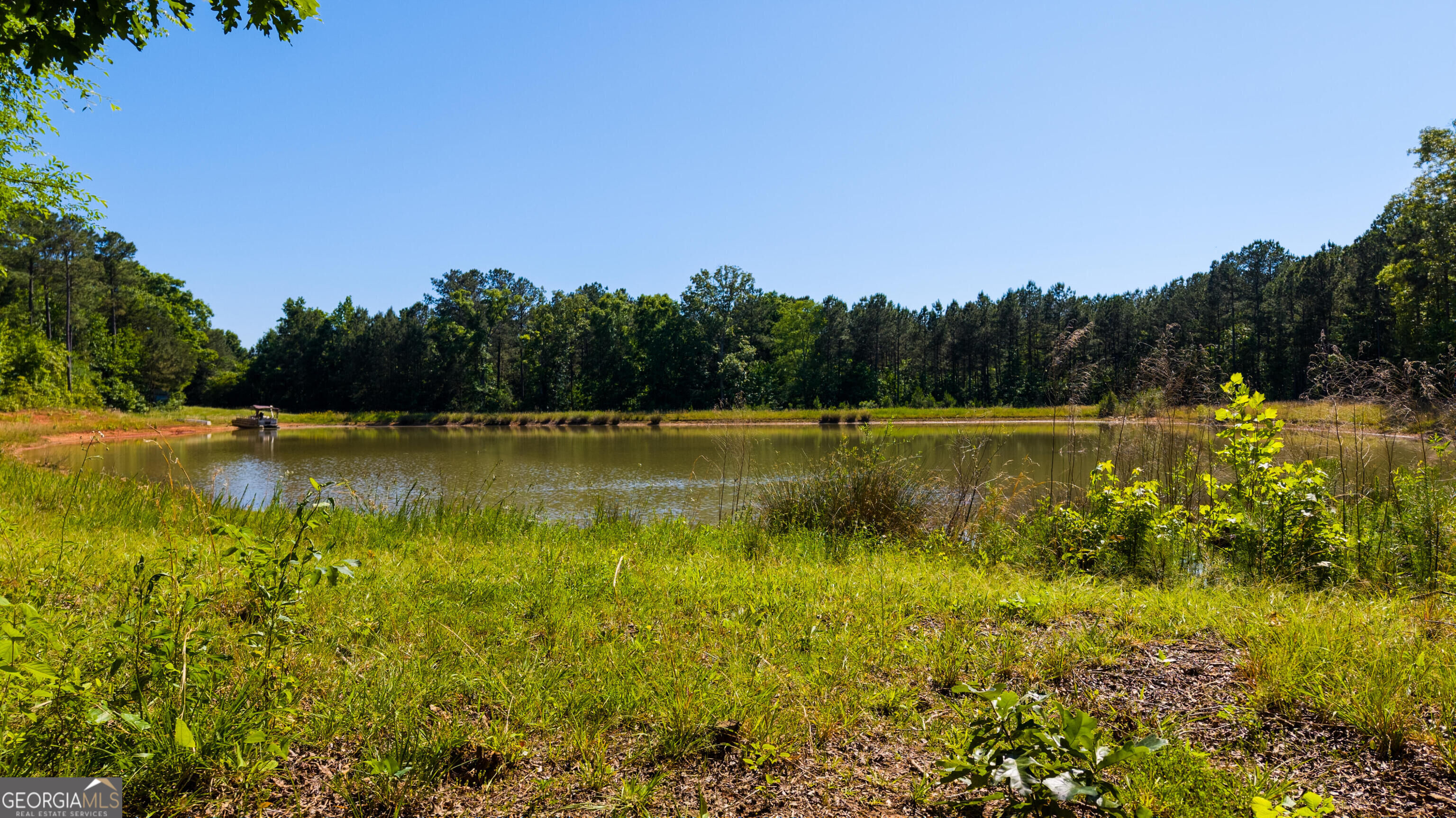 0 Calhoun Falls Highway Property Photo 4