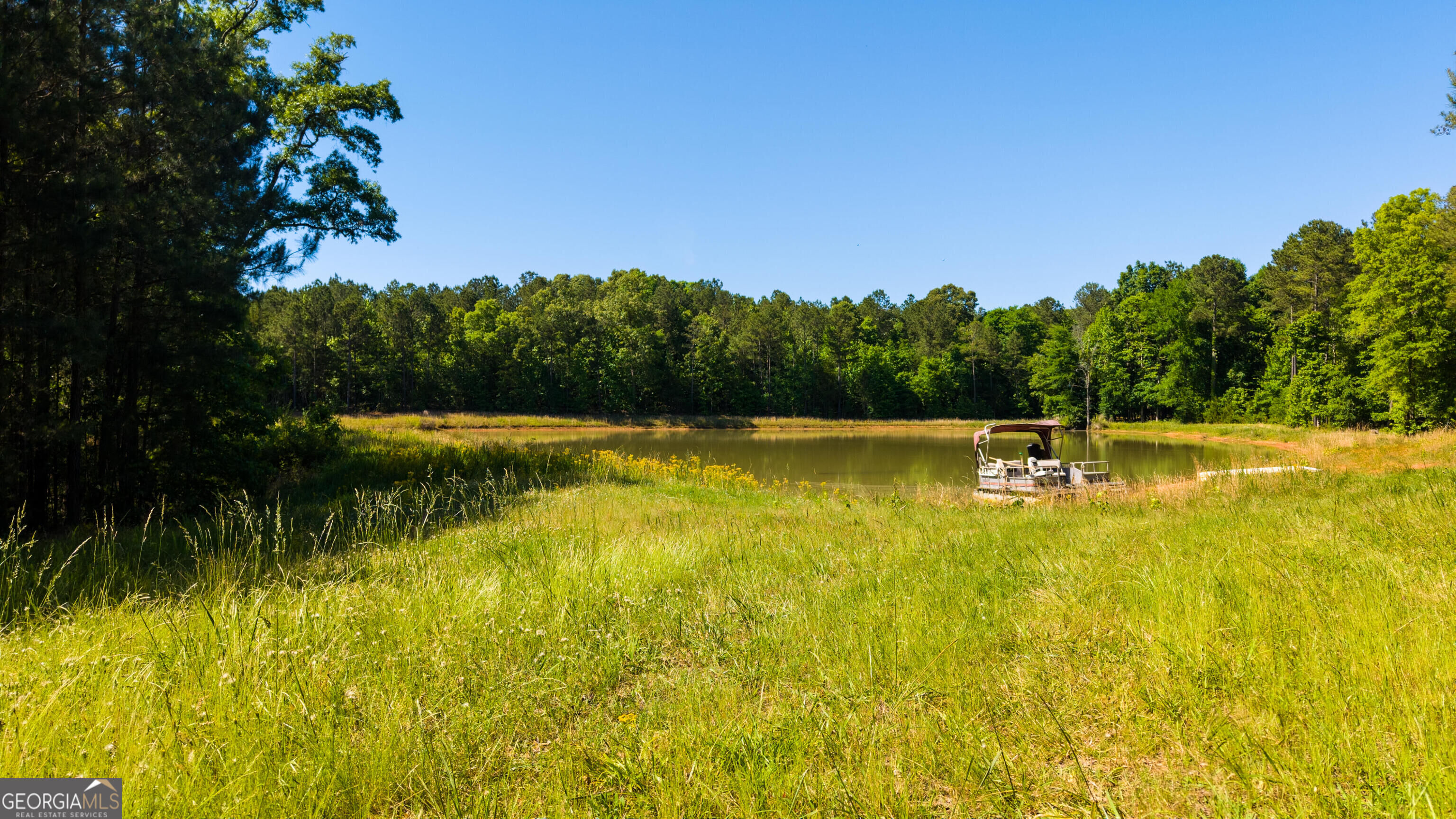 0 Calhoun Falls Highway Property Photo 6