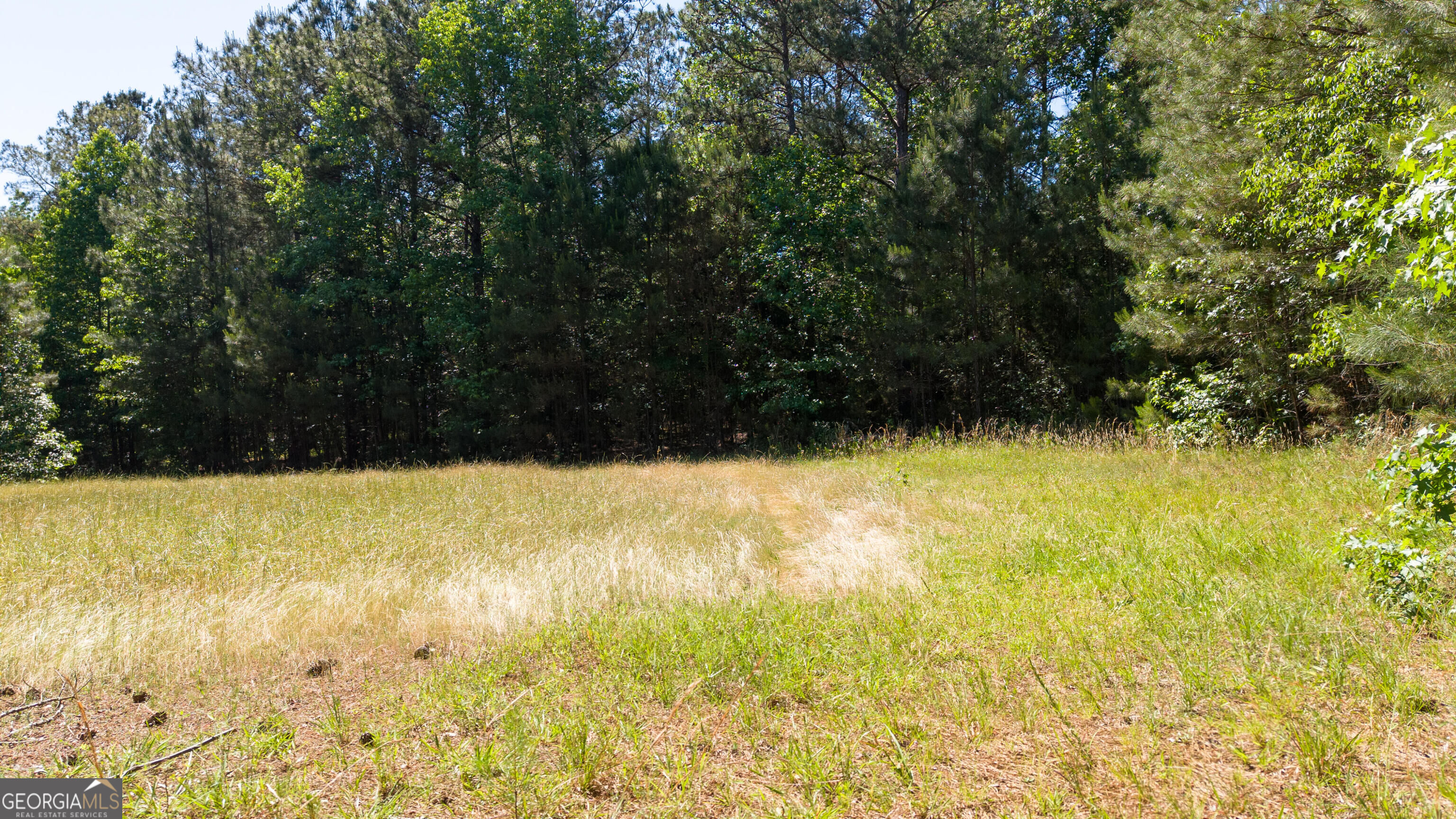 0 Calhoun Falls Highway Property Photo 7