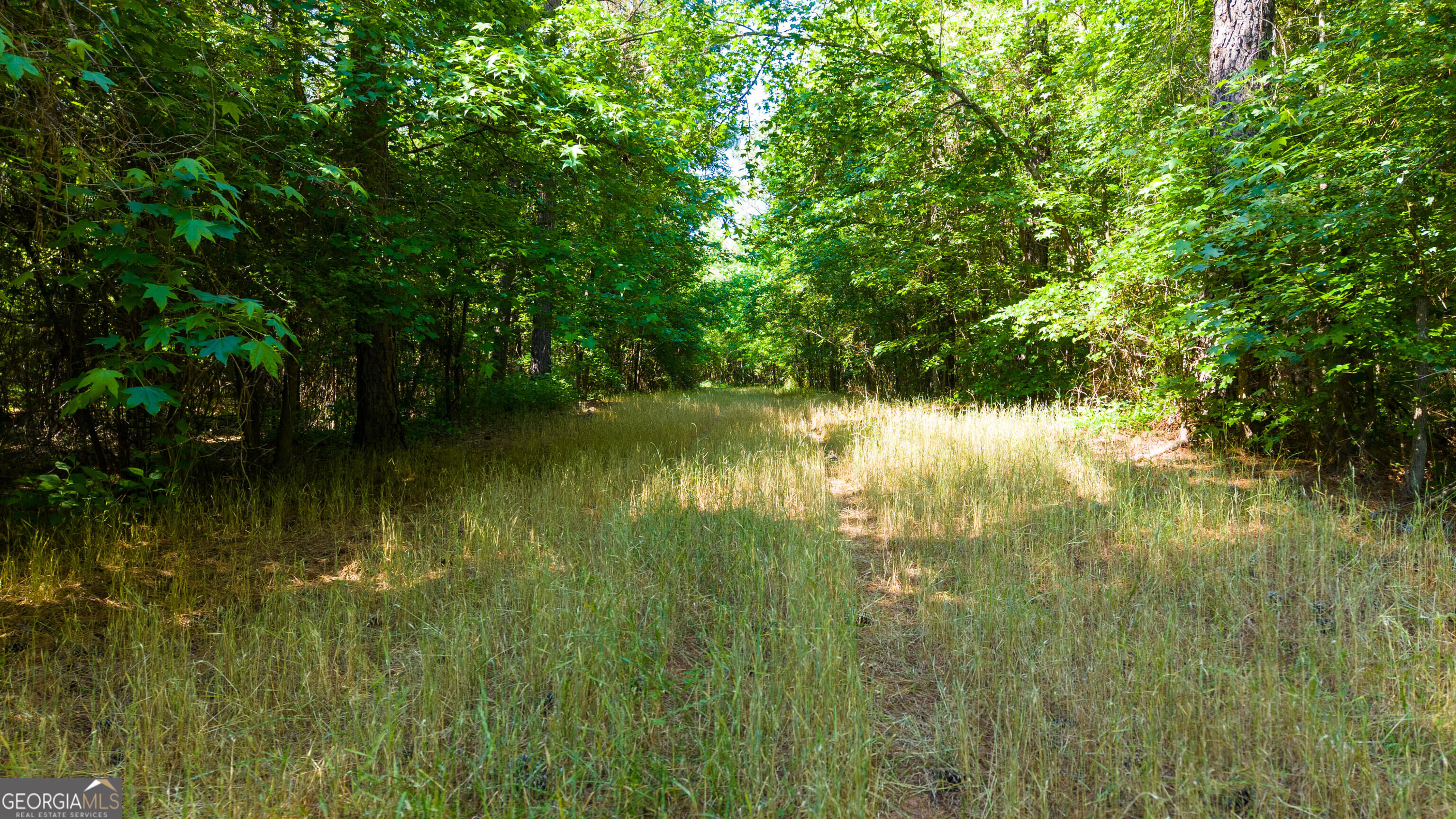 0 Calhoun Falls Highway Property Photo 8