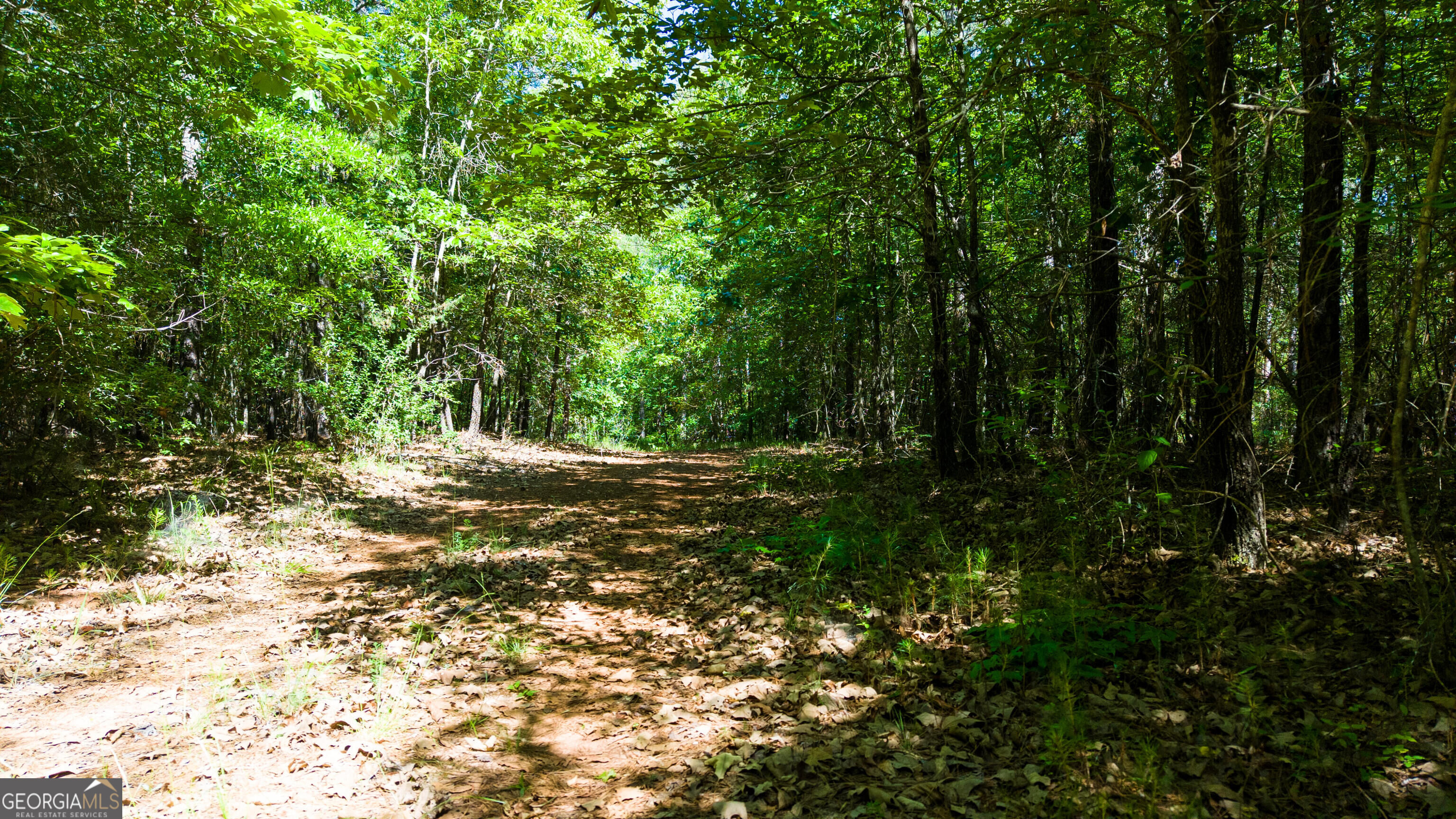 0 Calhoun Falls Highway Property Photo 9