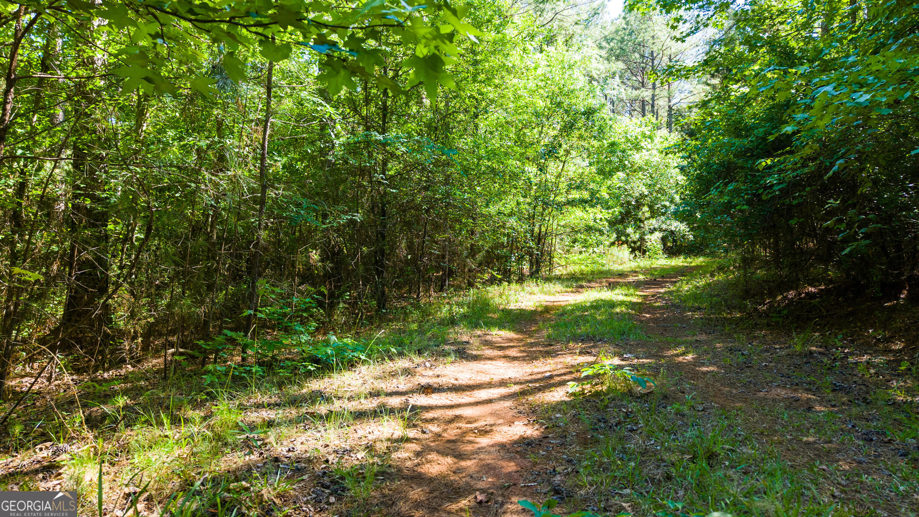 0 Calhoun Falls Highway Property Photo 10