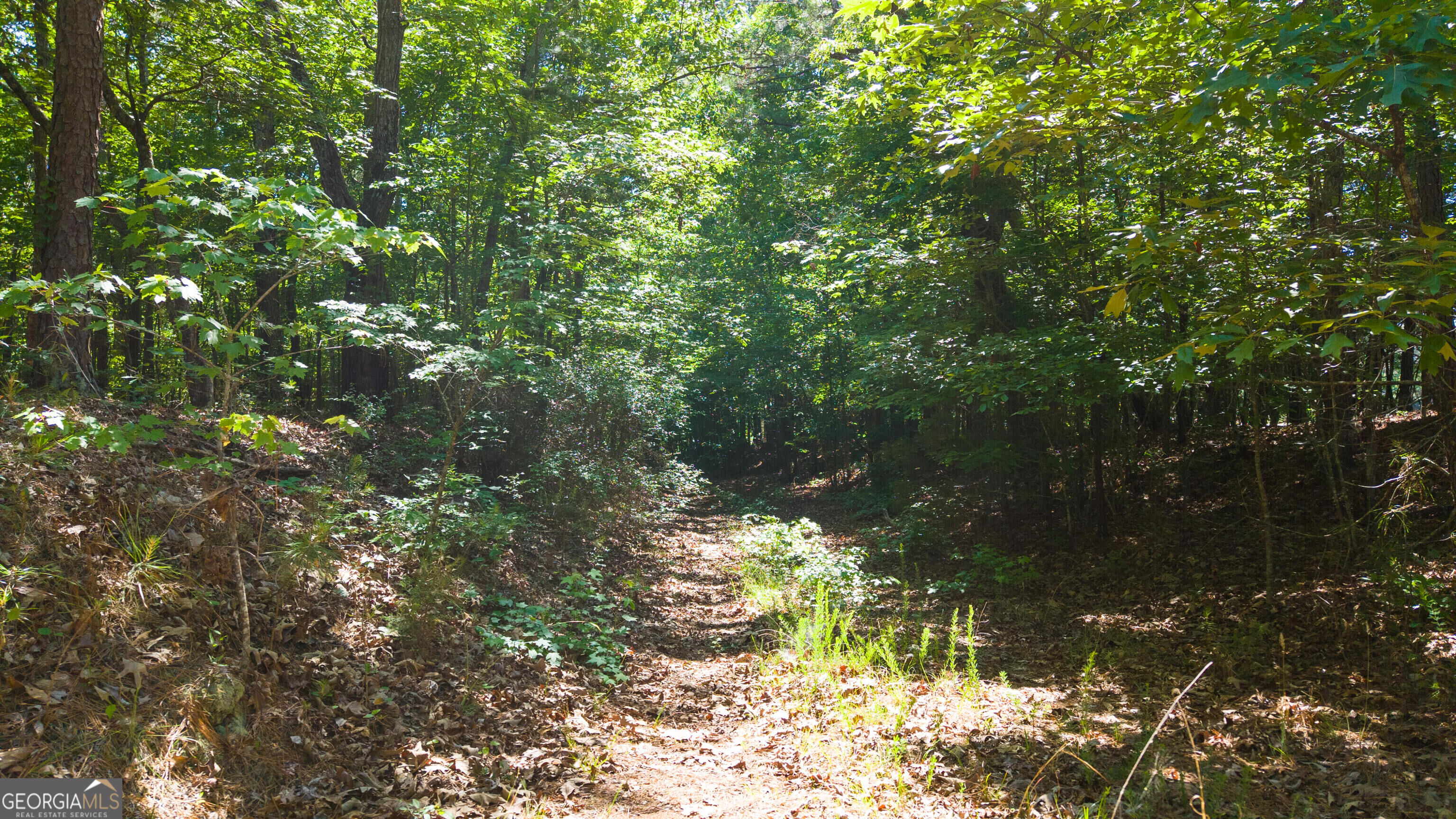 0 Calhoun Falls Highway Property Photo 11