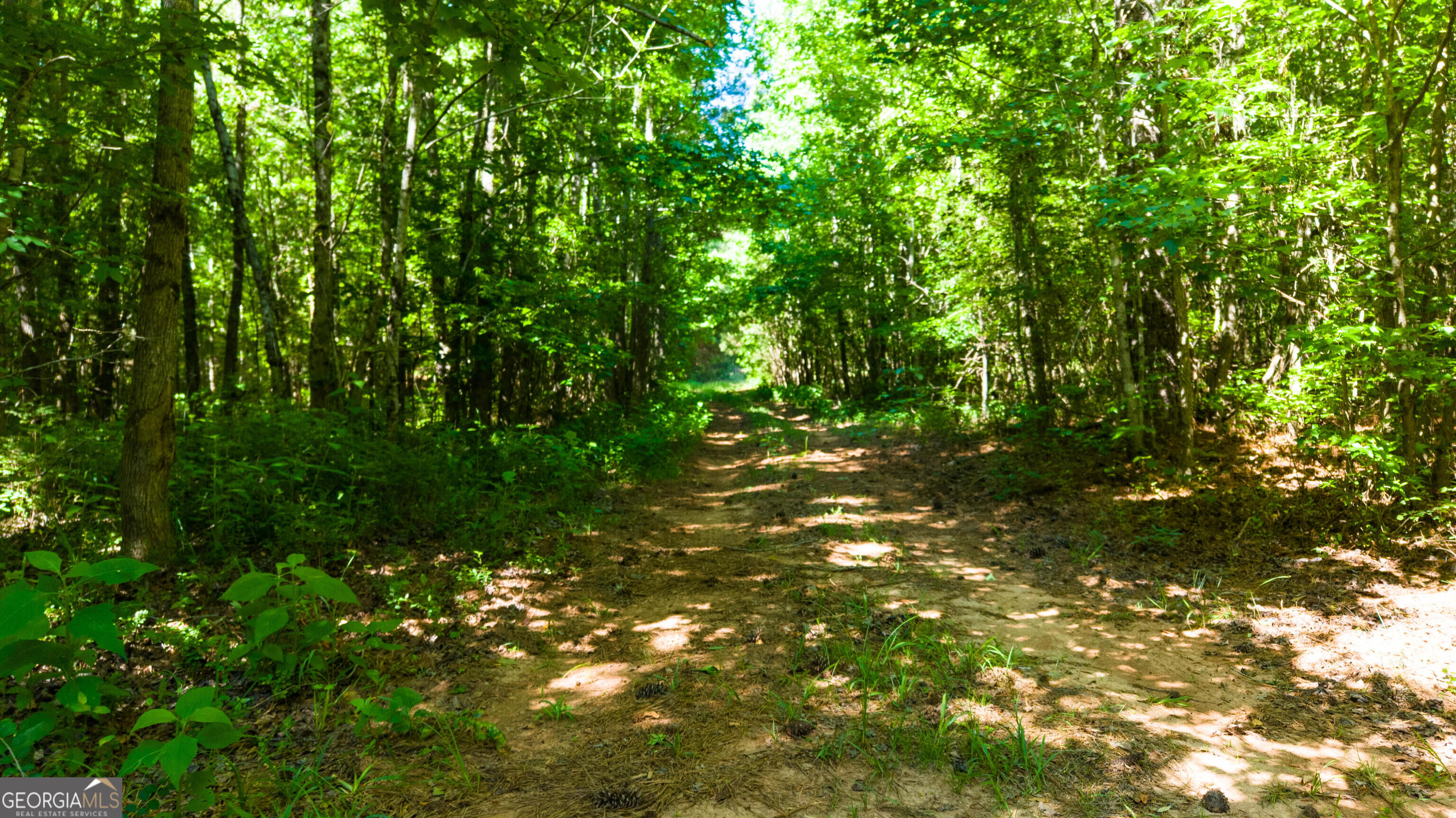 0 Calhoun Falls Highway Property Photo 12
