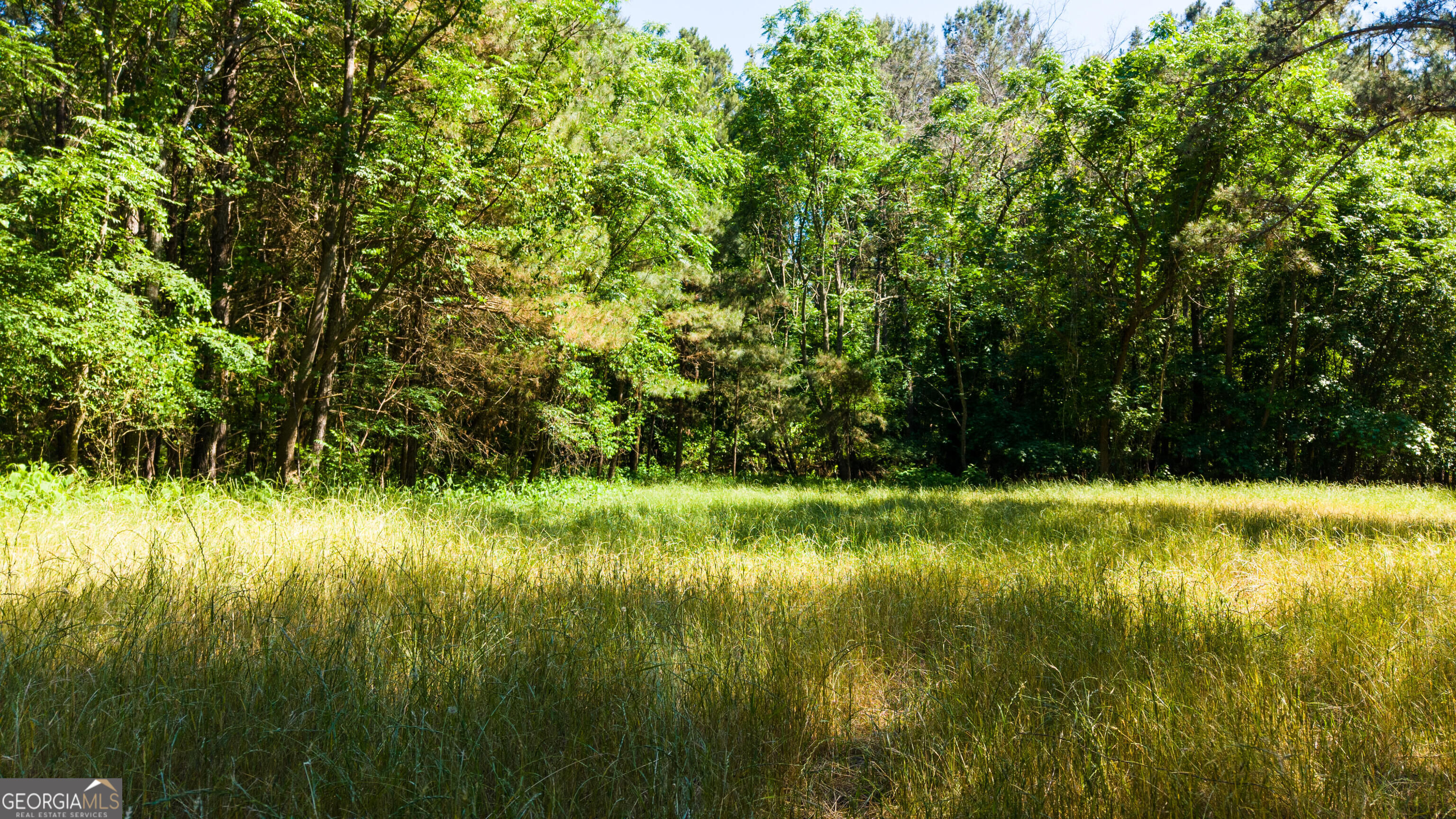 0 Calhoun Falls Highway Property Photo 13