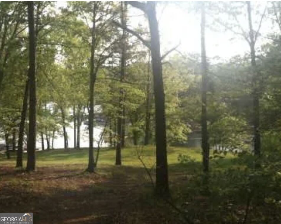 3610-3620 Looper Lake Cove Property Photo 6