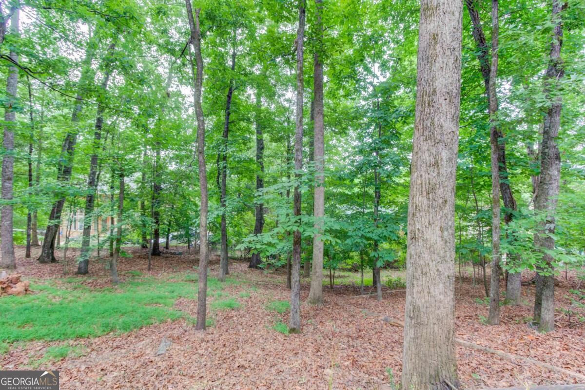 1920 Woods River Lane Property Photo 62
