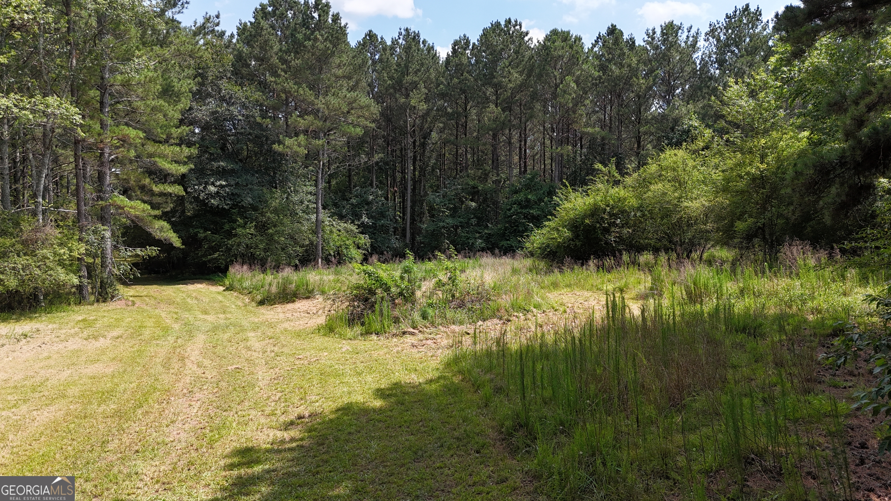 3729 Duncan Bridge Road Property Photo 51