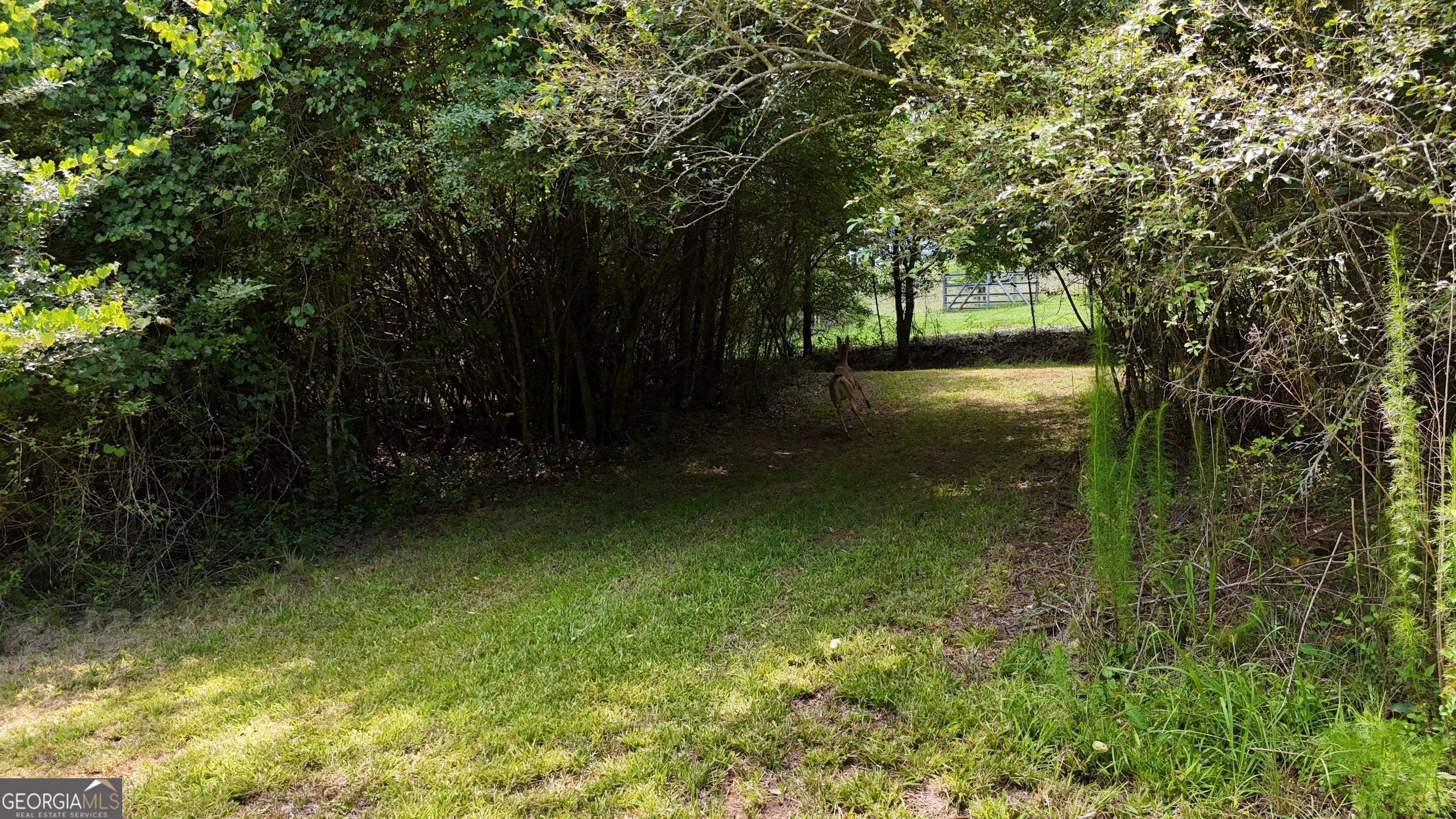 3729 Duncan Bridge Road Property Photo 57