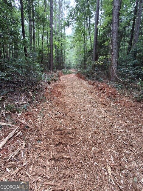 3729 Duncan Bridge Road Property Photo 64