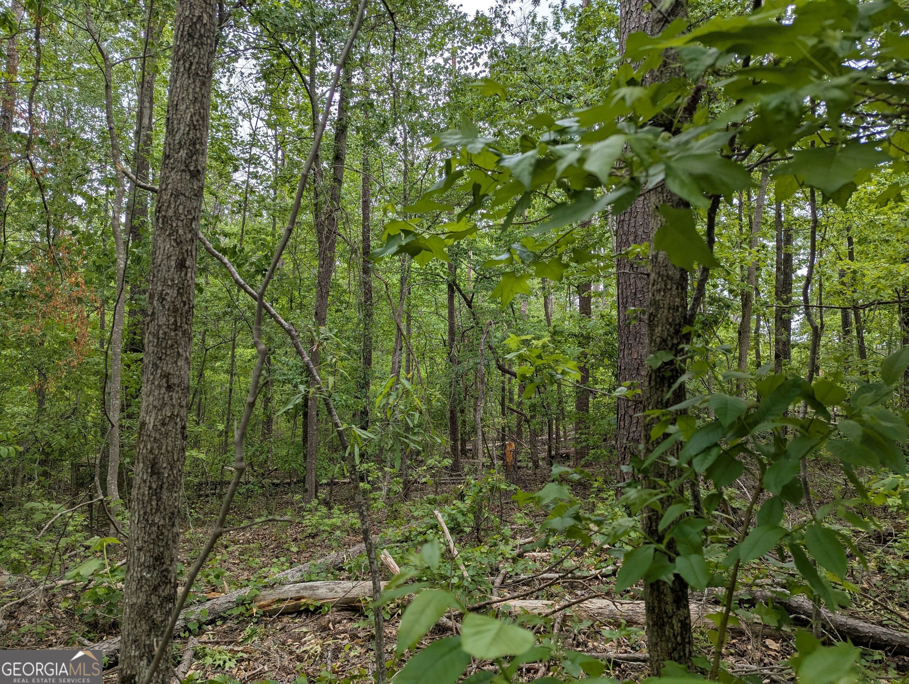5480 Bethlehem Road Property Photo 11