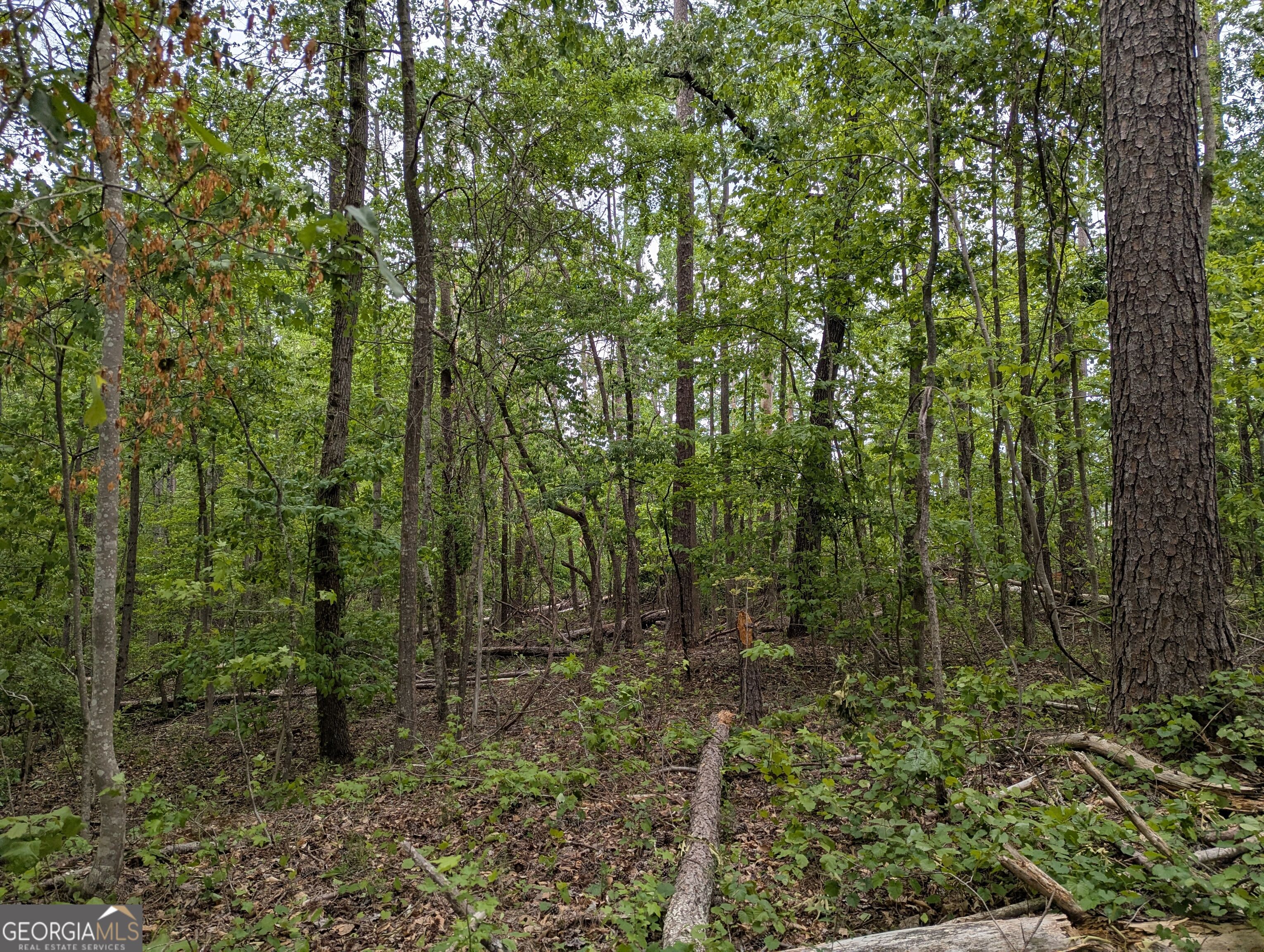 5480 Bethlehem Road Property Photo 12