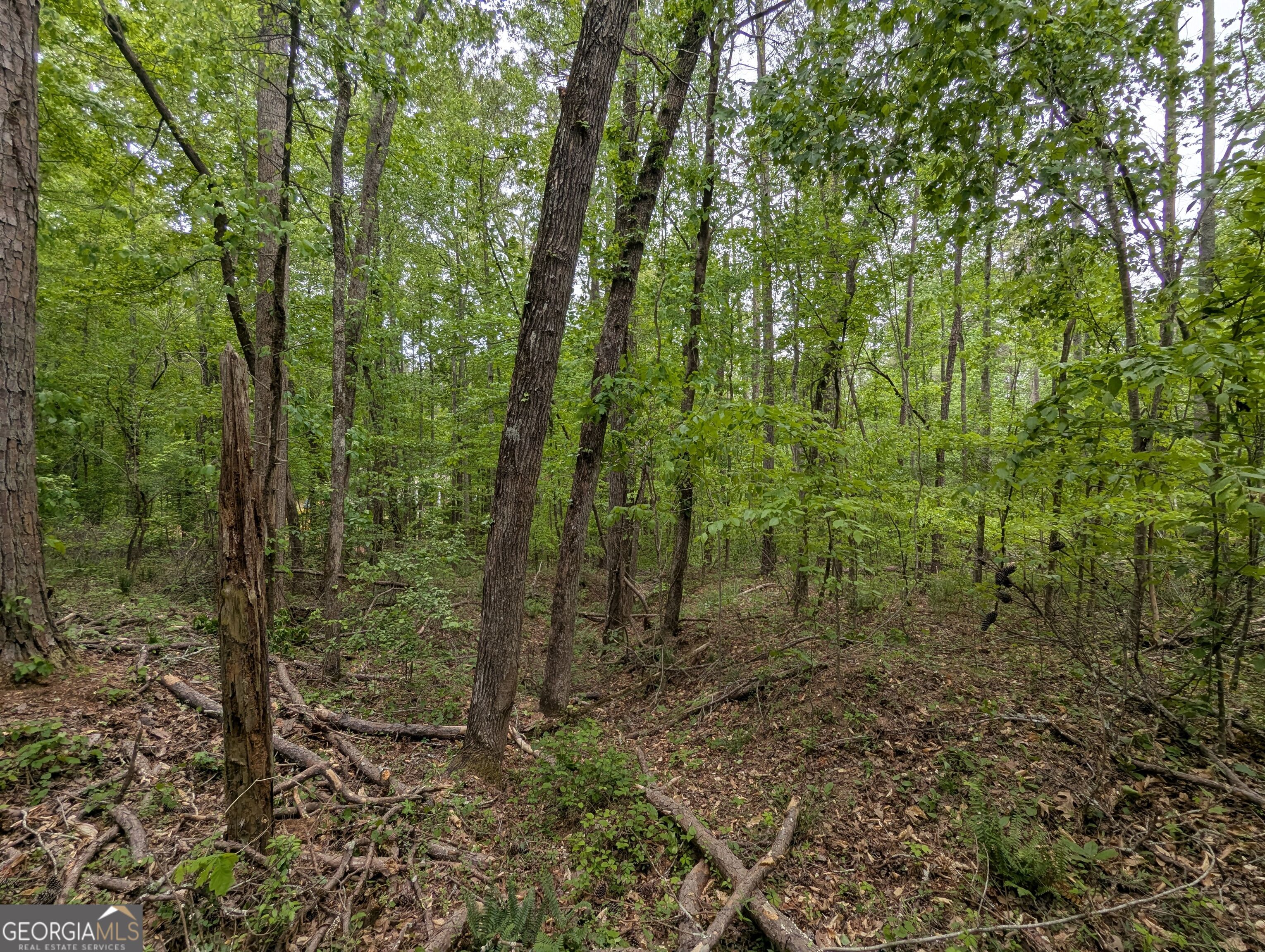5480 Bethlehem Road Property Photo 13