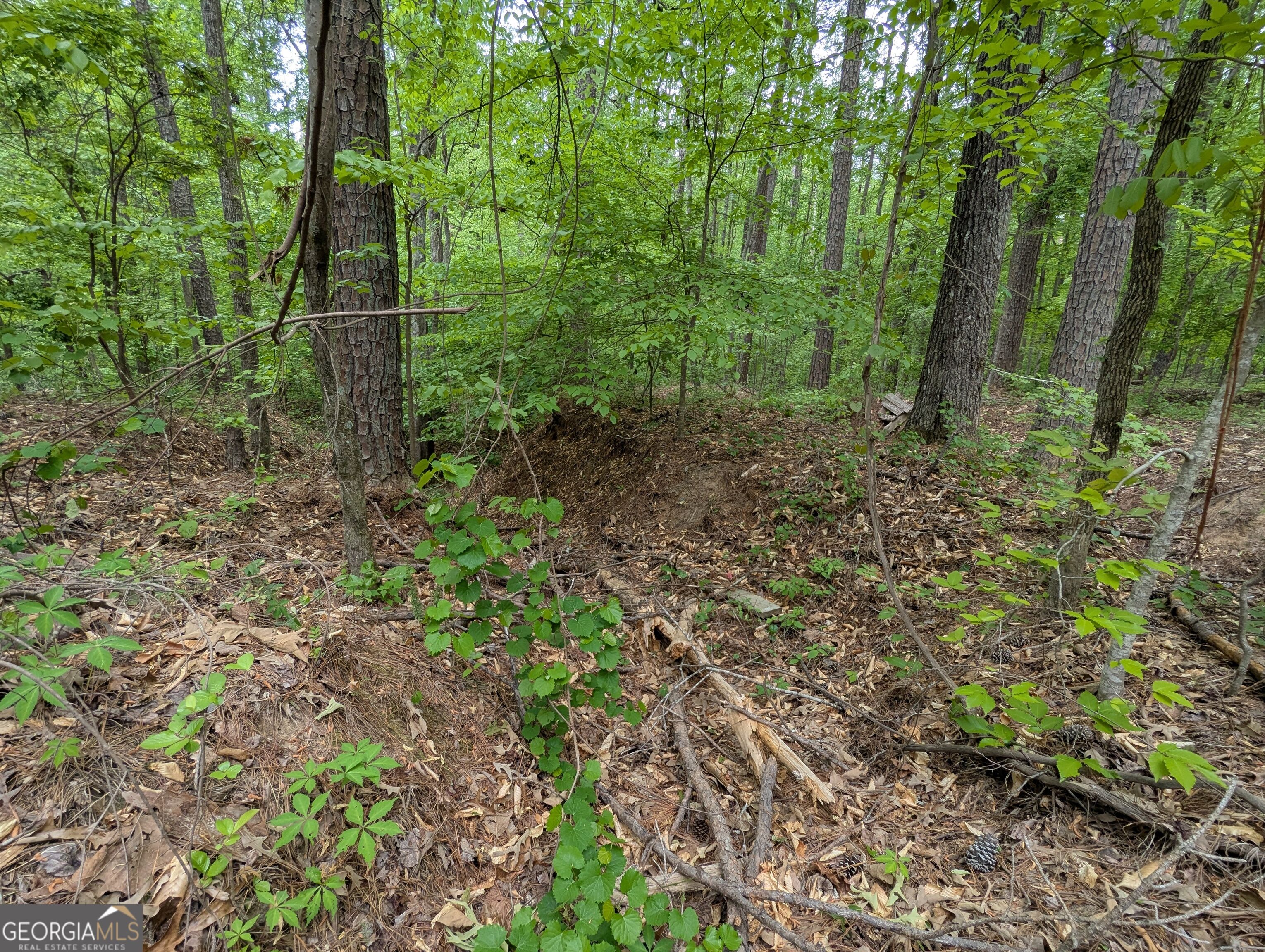 5480 Bethlehem Road Property Photo 14