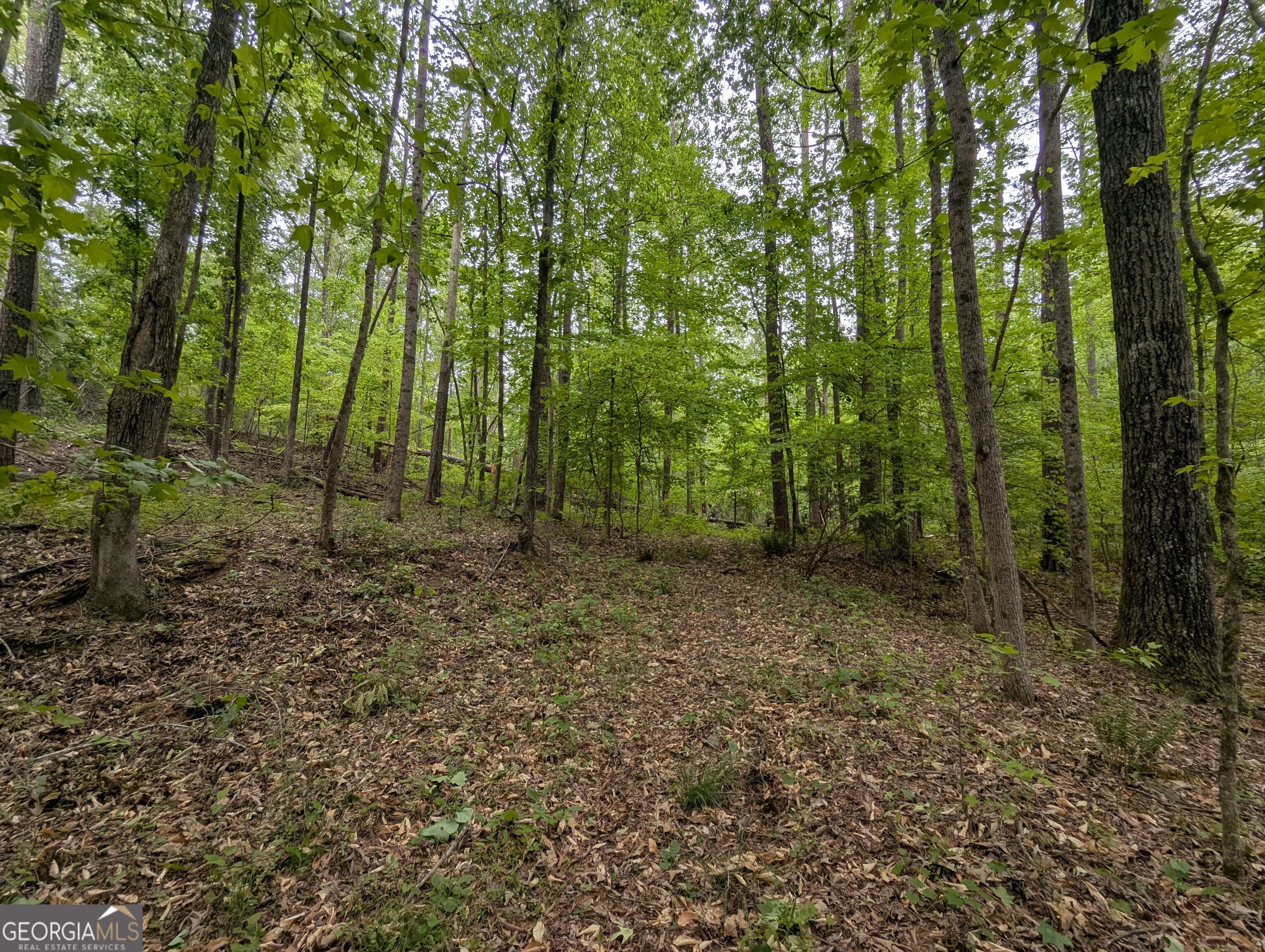 5480 Bethlehem Road Property Photo 15