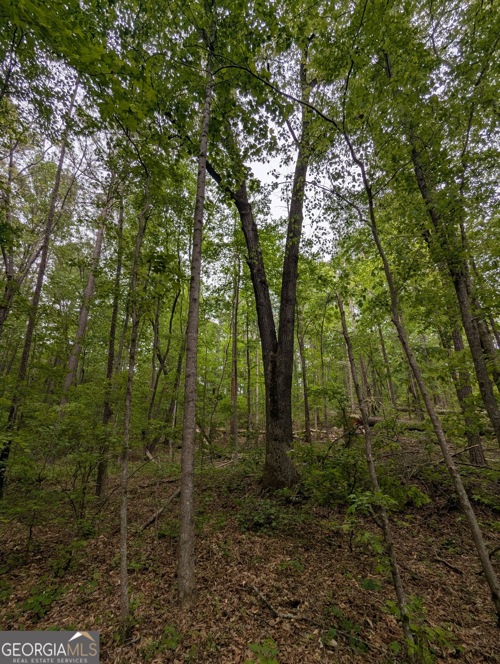5480 Bethlehem Road Property Photo 17