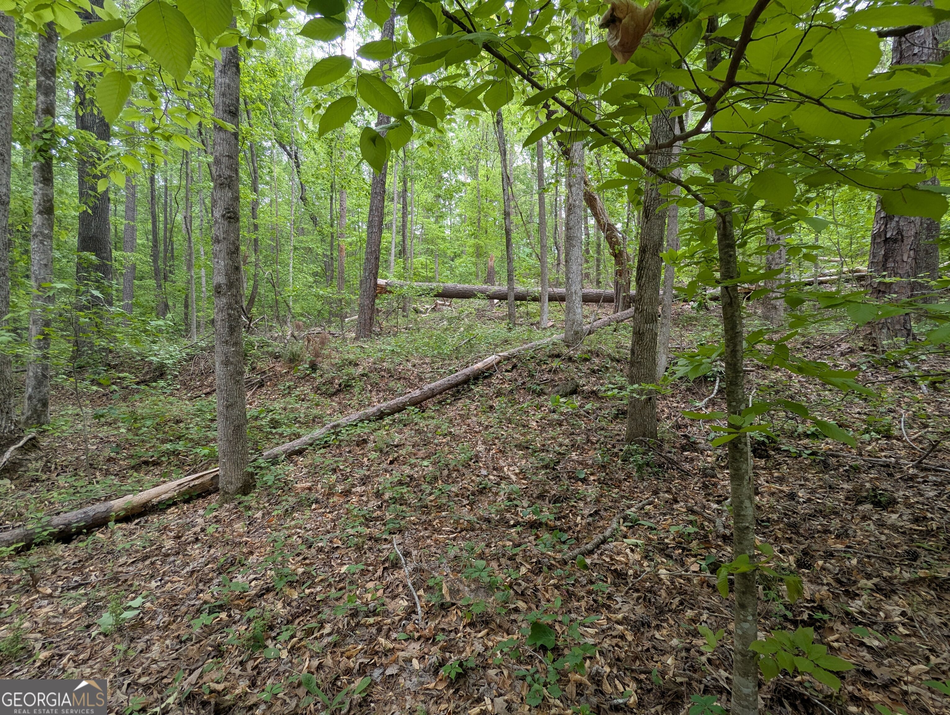 5480 Bethlehem Road Property Photo 18