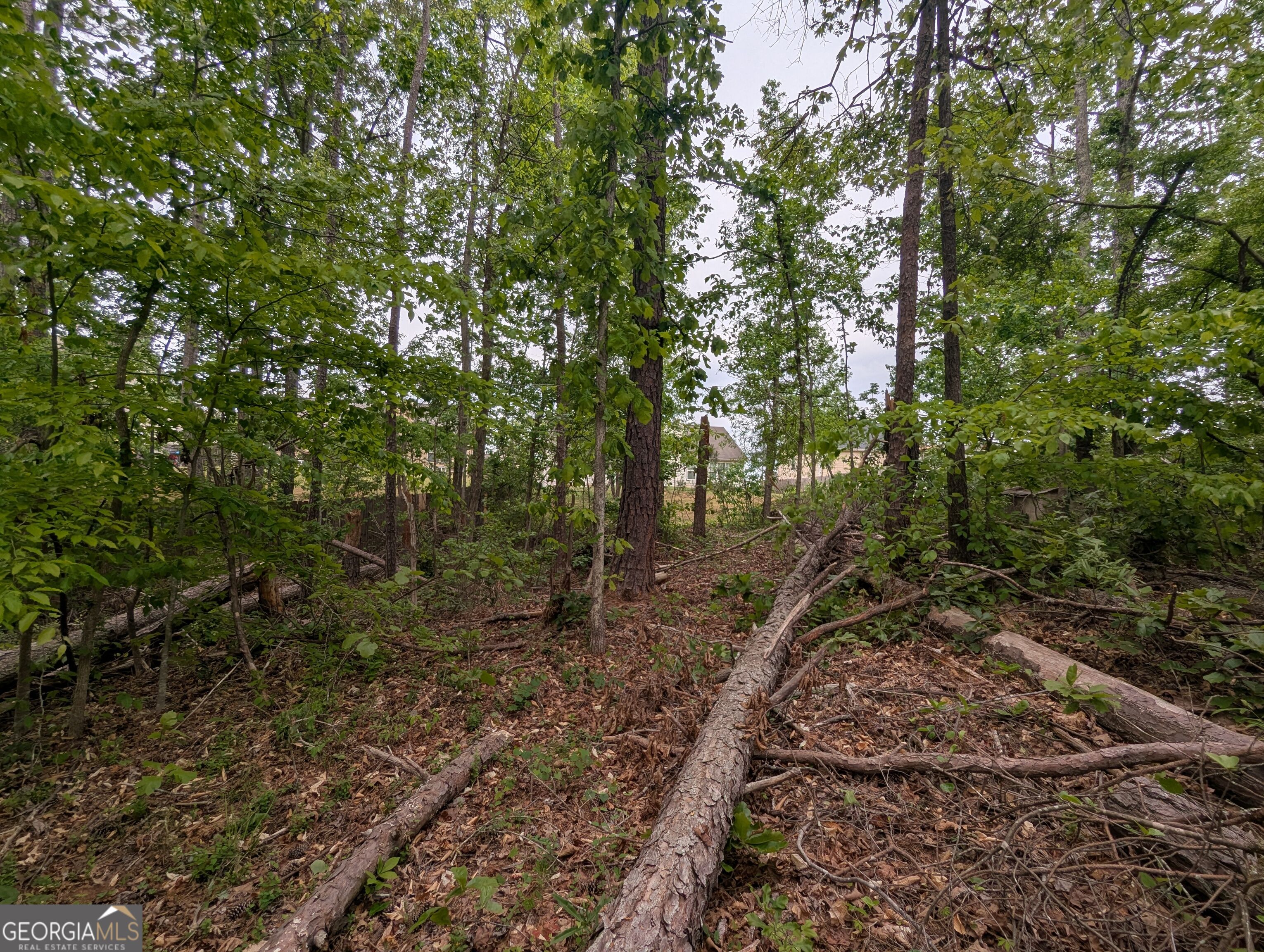 5480 Bethlehem Road Property Photo 19