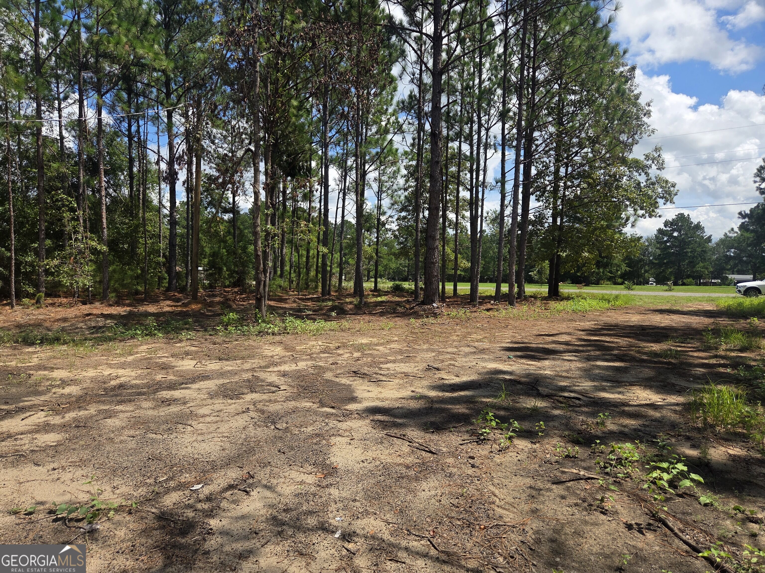 453 Salter Moon Road Property Photo 3