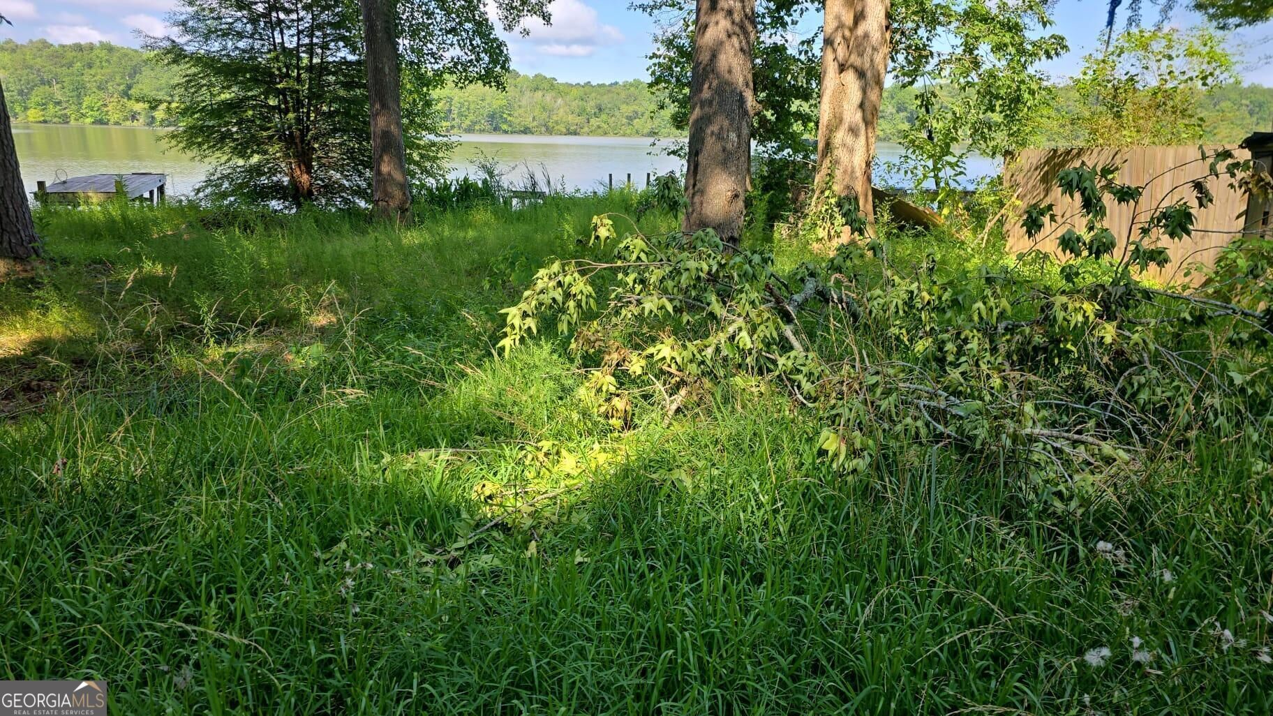143 Weavers Lake Front Road Property Photo 3