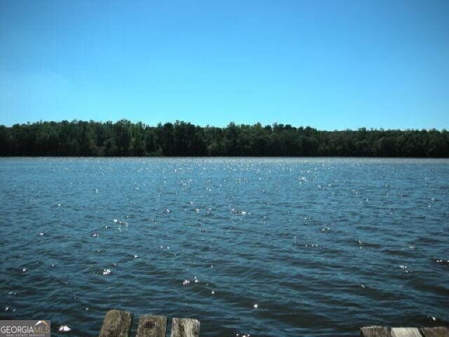 143 Weavers Lake Front Road Property Photo 5
