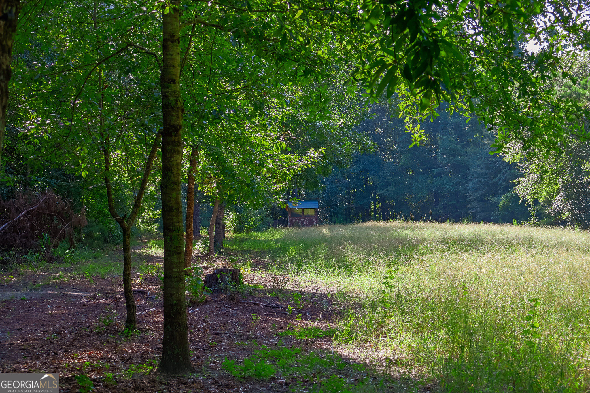 1362 Doyle Road Property Photo 3