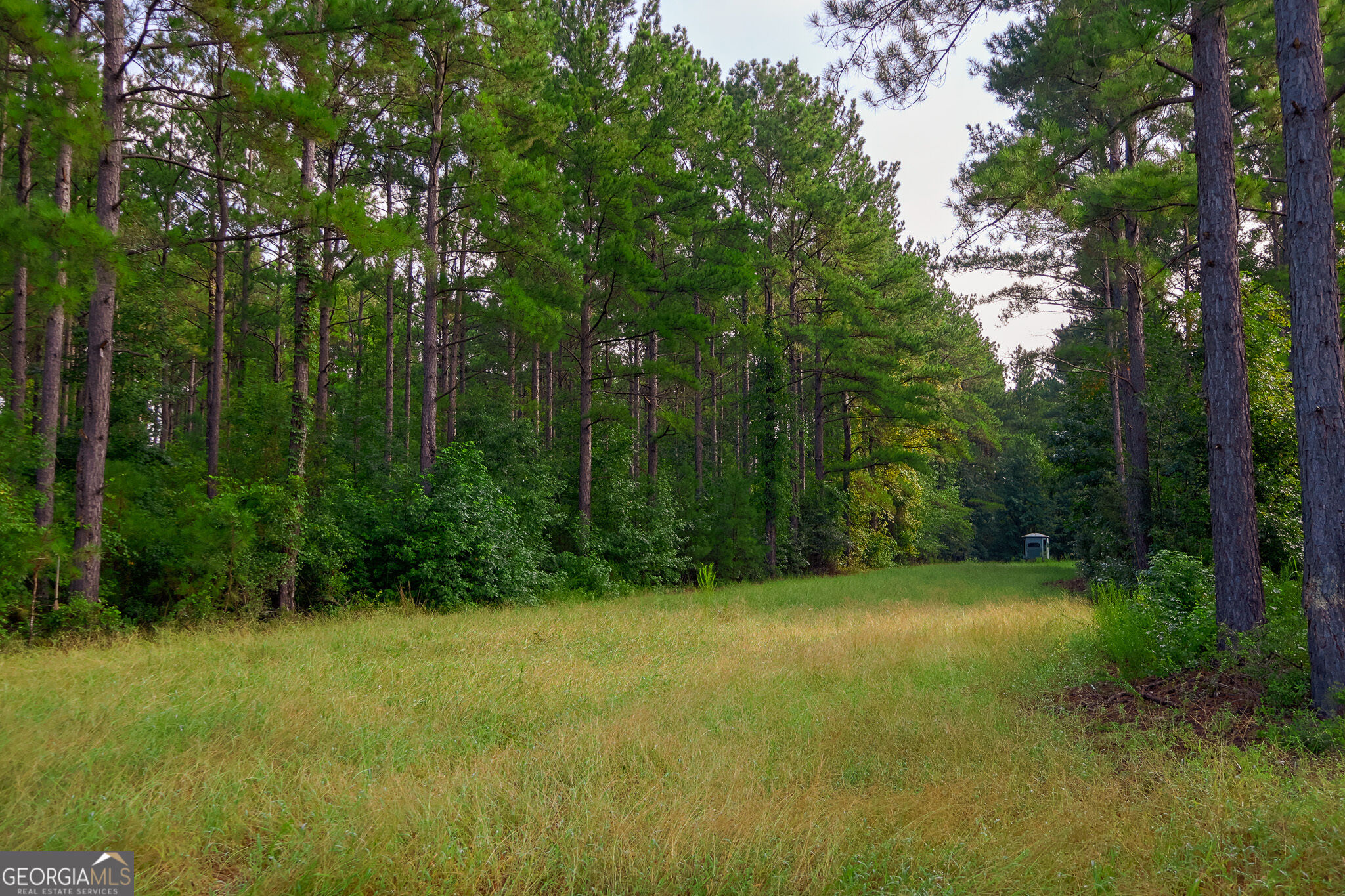 1362 Doyle Road Property Photo 20