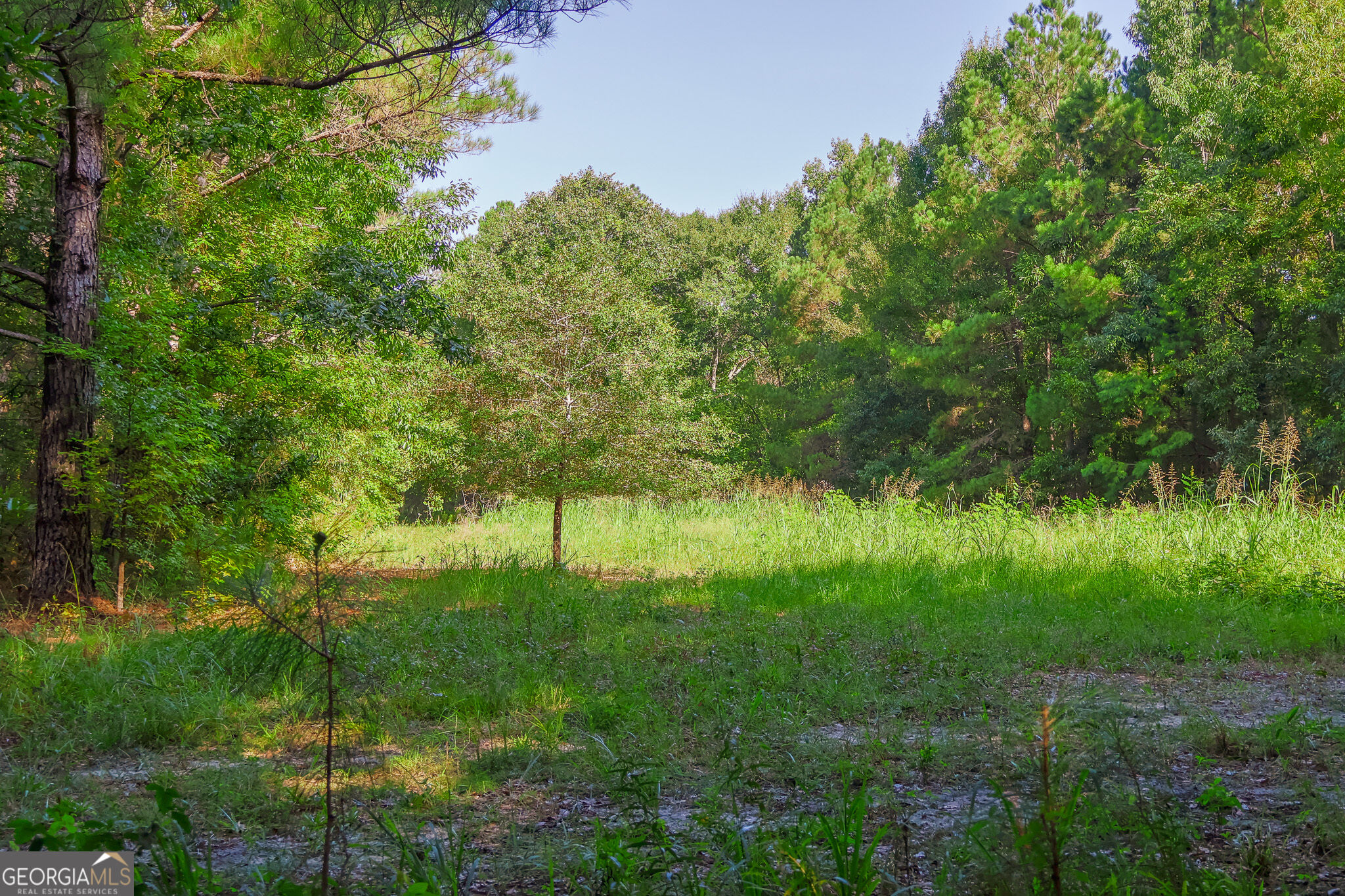 1362 Doyle Road Property Photo 29
