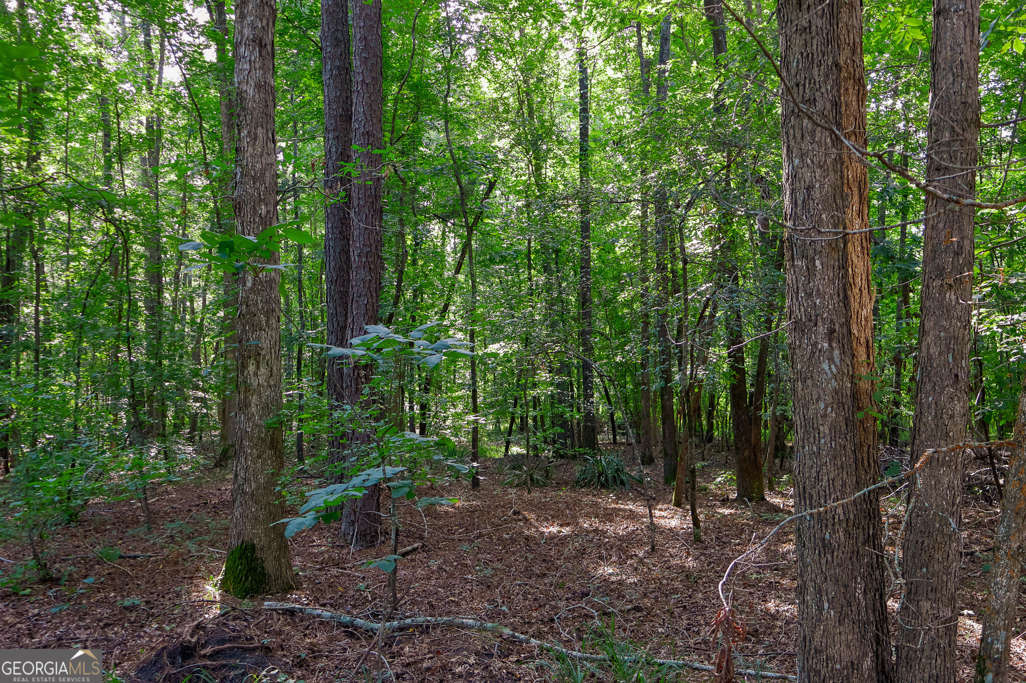 1362 Doyle Road Property Photo 30