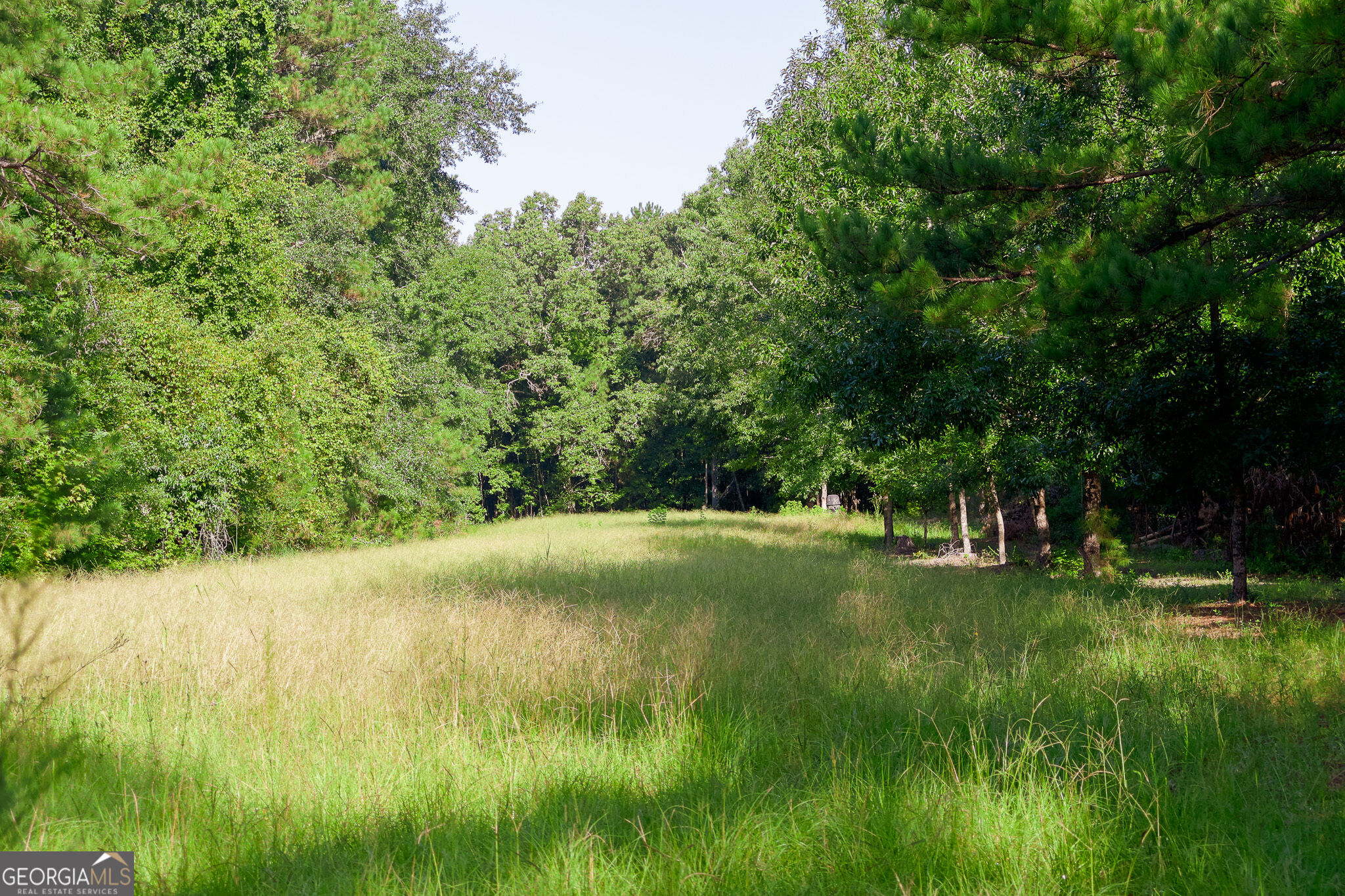 1362 Doyle Road Property Photo 32
