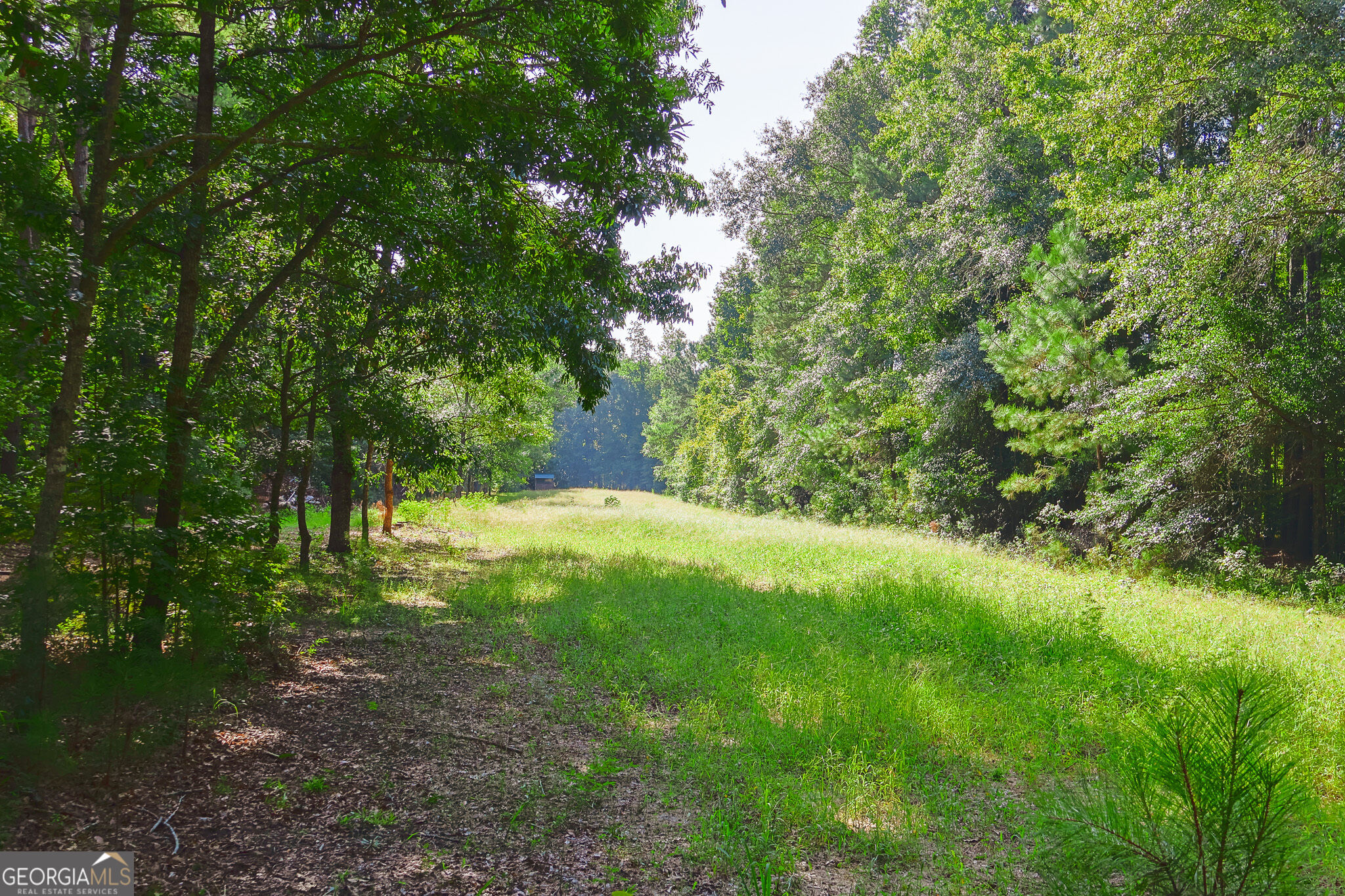 1362 Doyle Road Property Photo 35