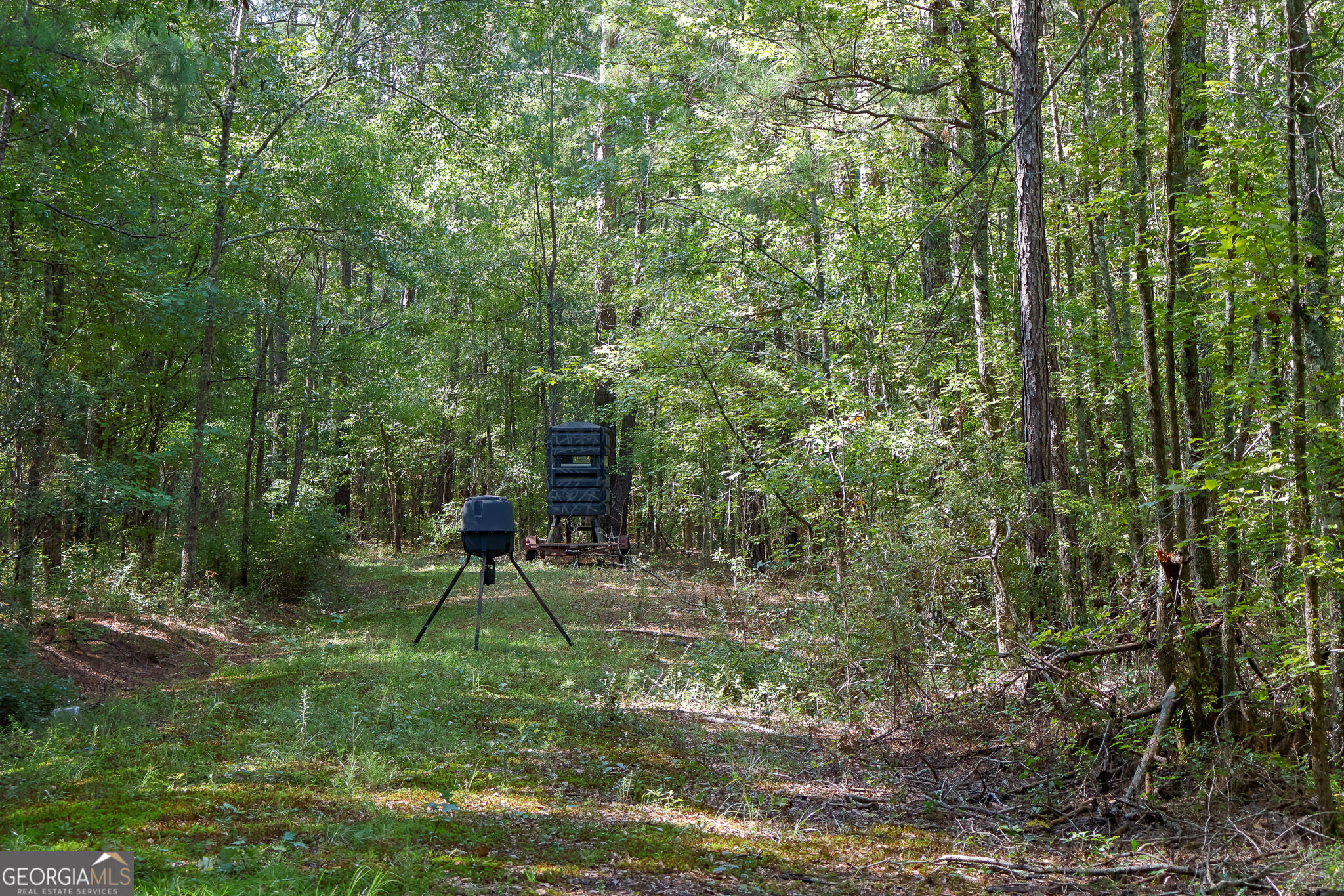 1362 Doyle Road Property Photo 38