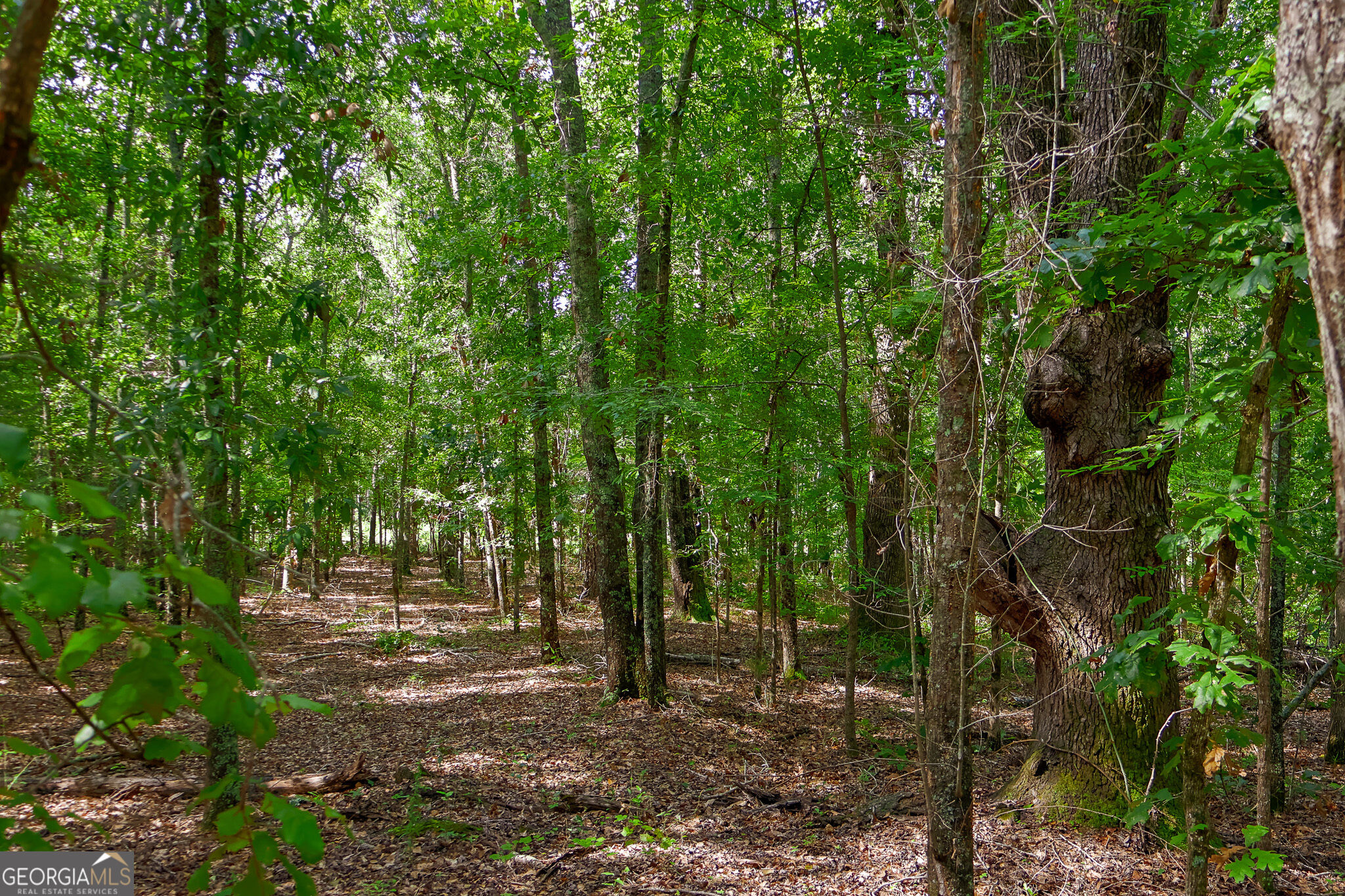1362 Doyle Road Property Photo 41