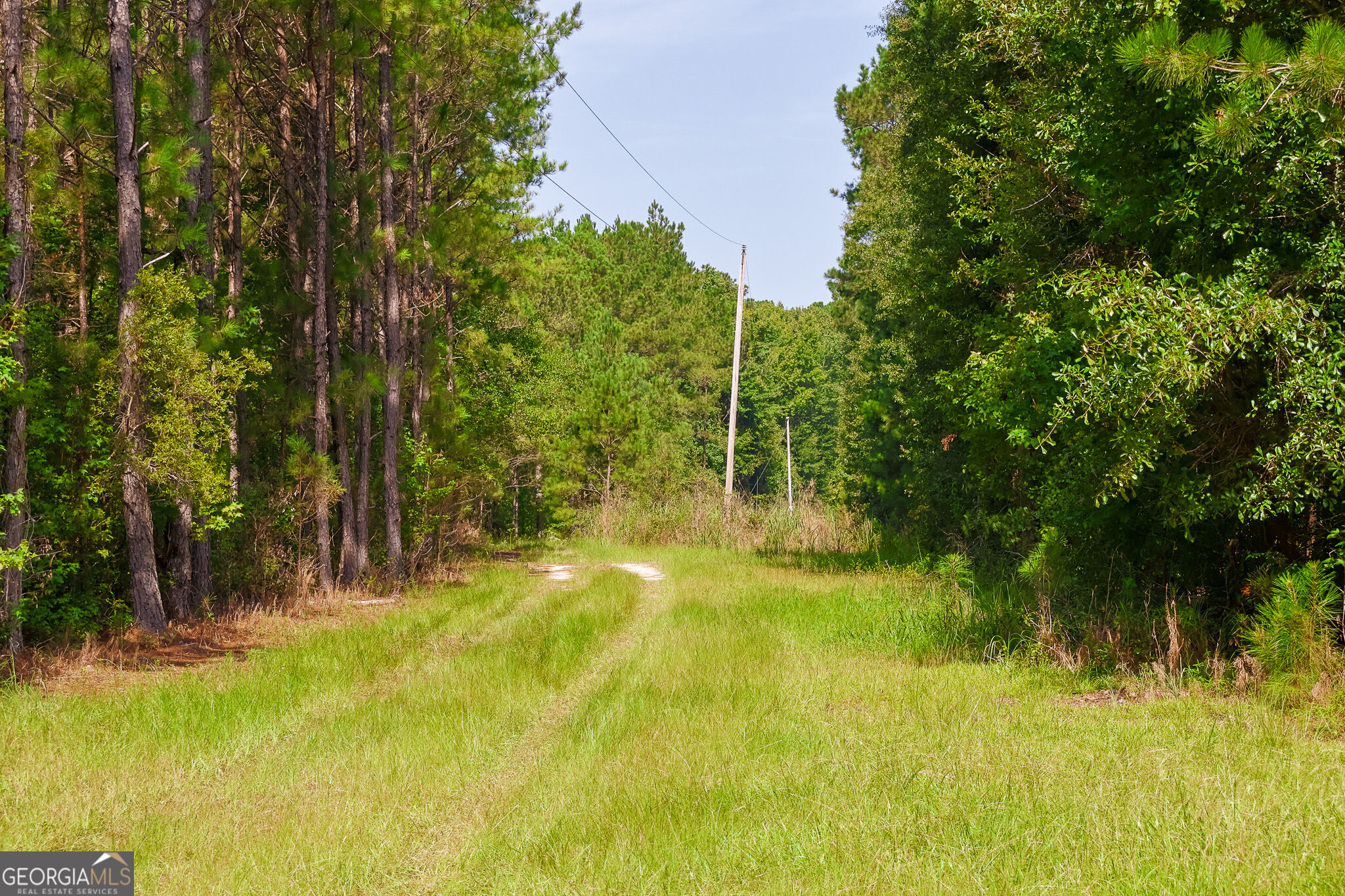 1362 Doyle Road Property Photo 44