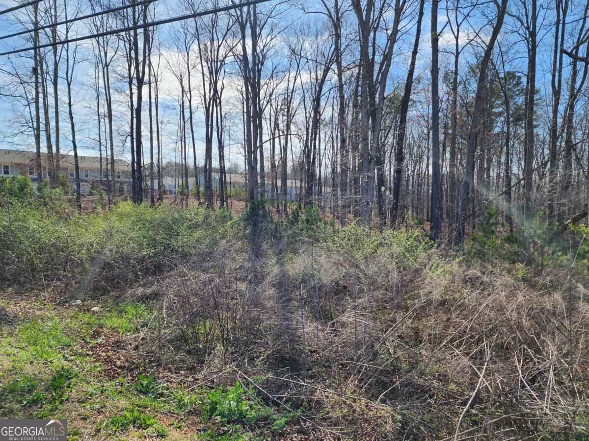 0 Highway 92 Property Photo 6