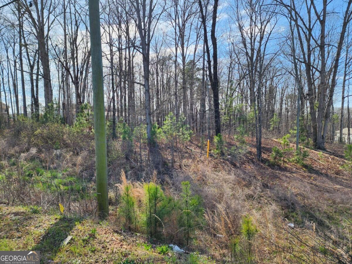 0 Highway 92 Property Photo 7