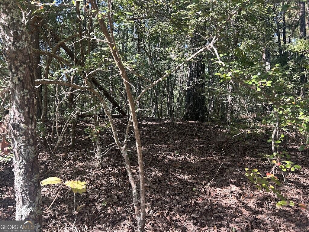 0 Springer Road Property Photo 1