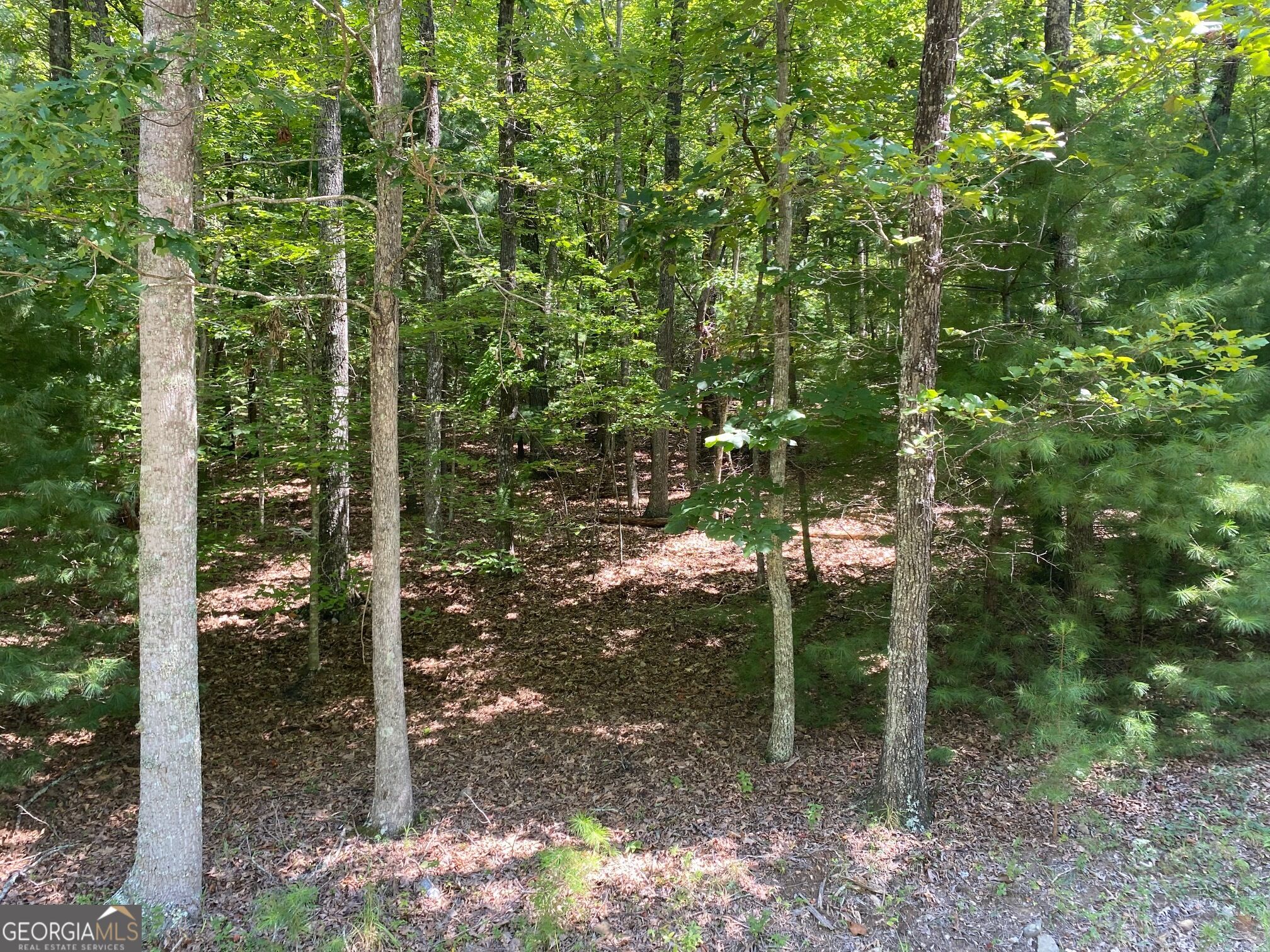 6.93 Ac Timber Ridge Road Property Photo 1