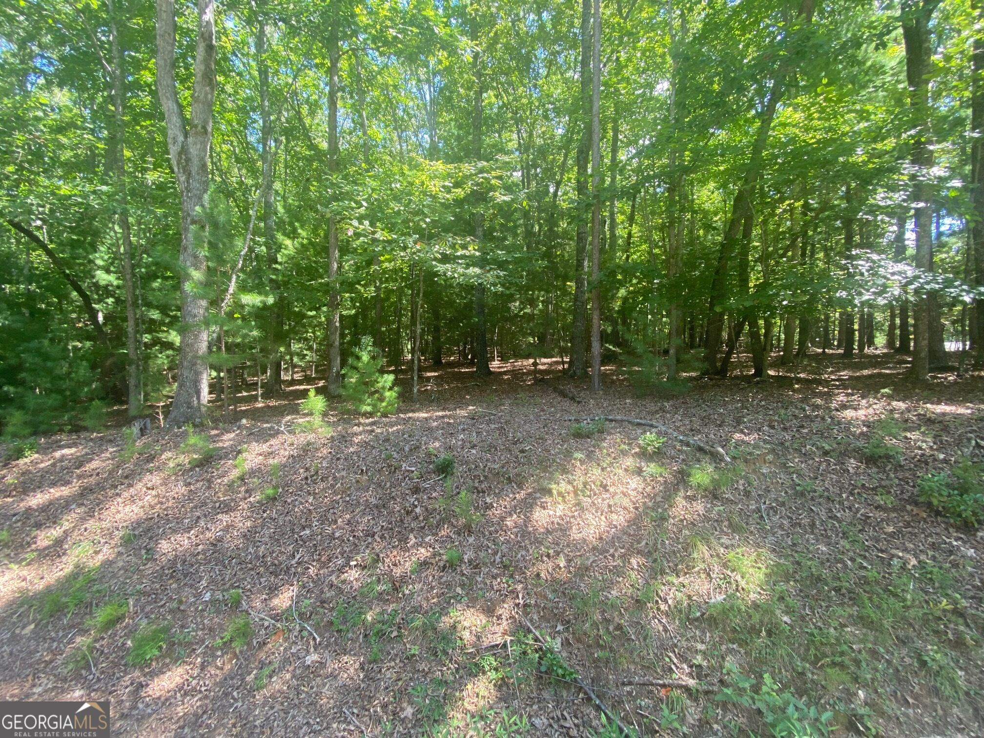 6.93 Ac Timber Ridge Road Property Photo 2