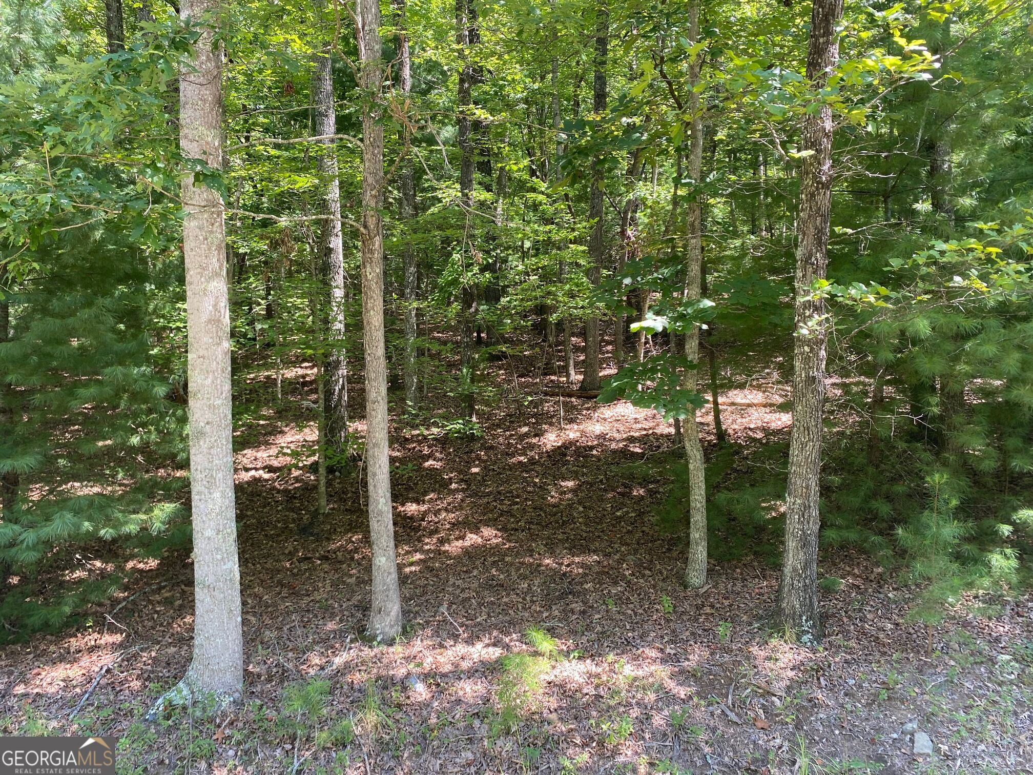 6.93 Ac Timber Ridge Road Property Photo 3