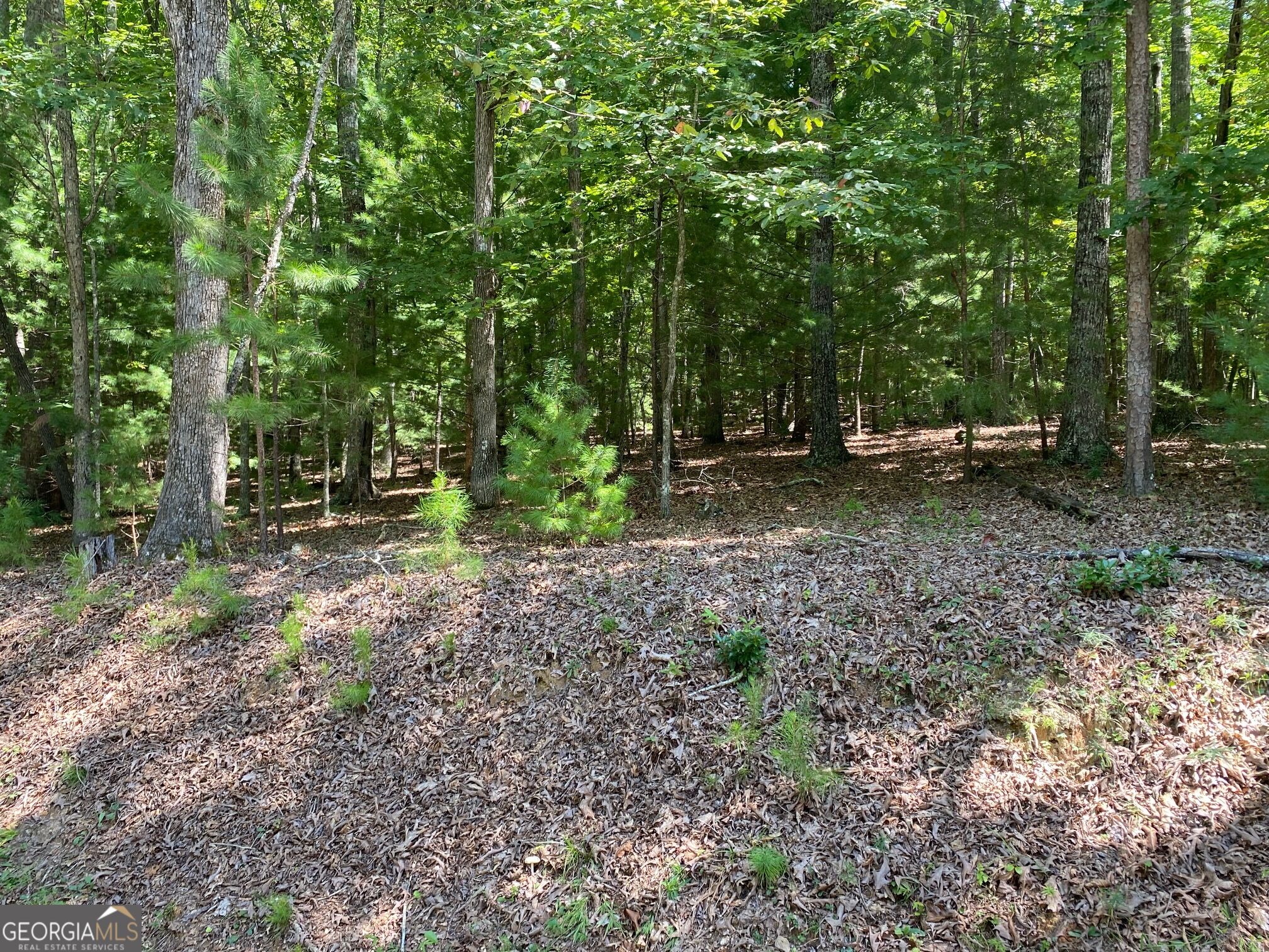 6.93 Ac Timber Ridge Road Property Photo 4